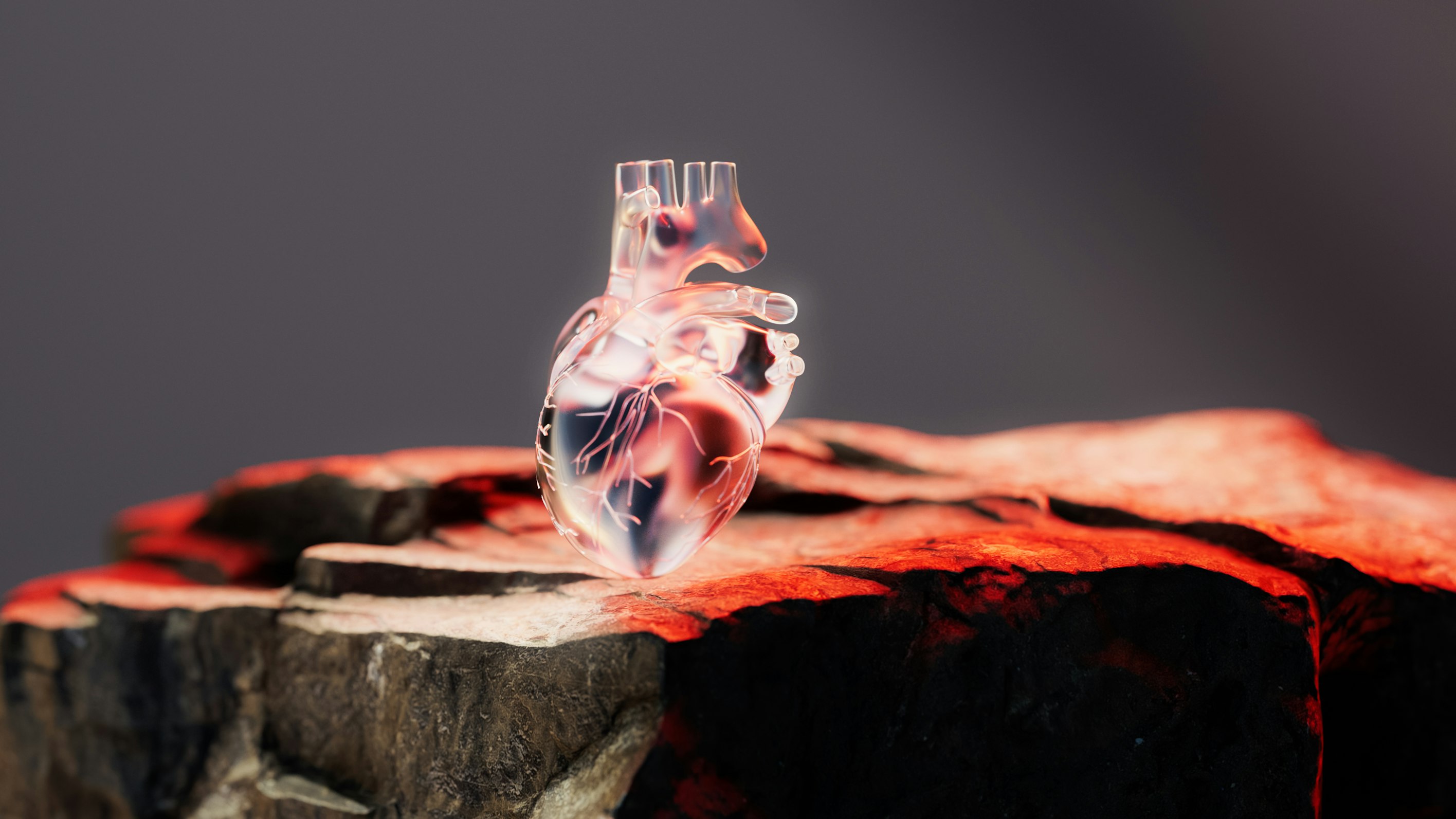 Heart health monitoring and cardiovascular wellness