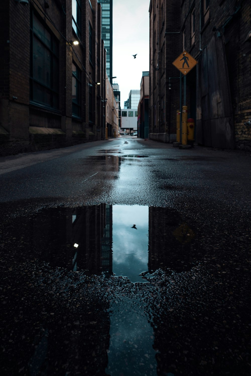 a puddle of water on a city street