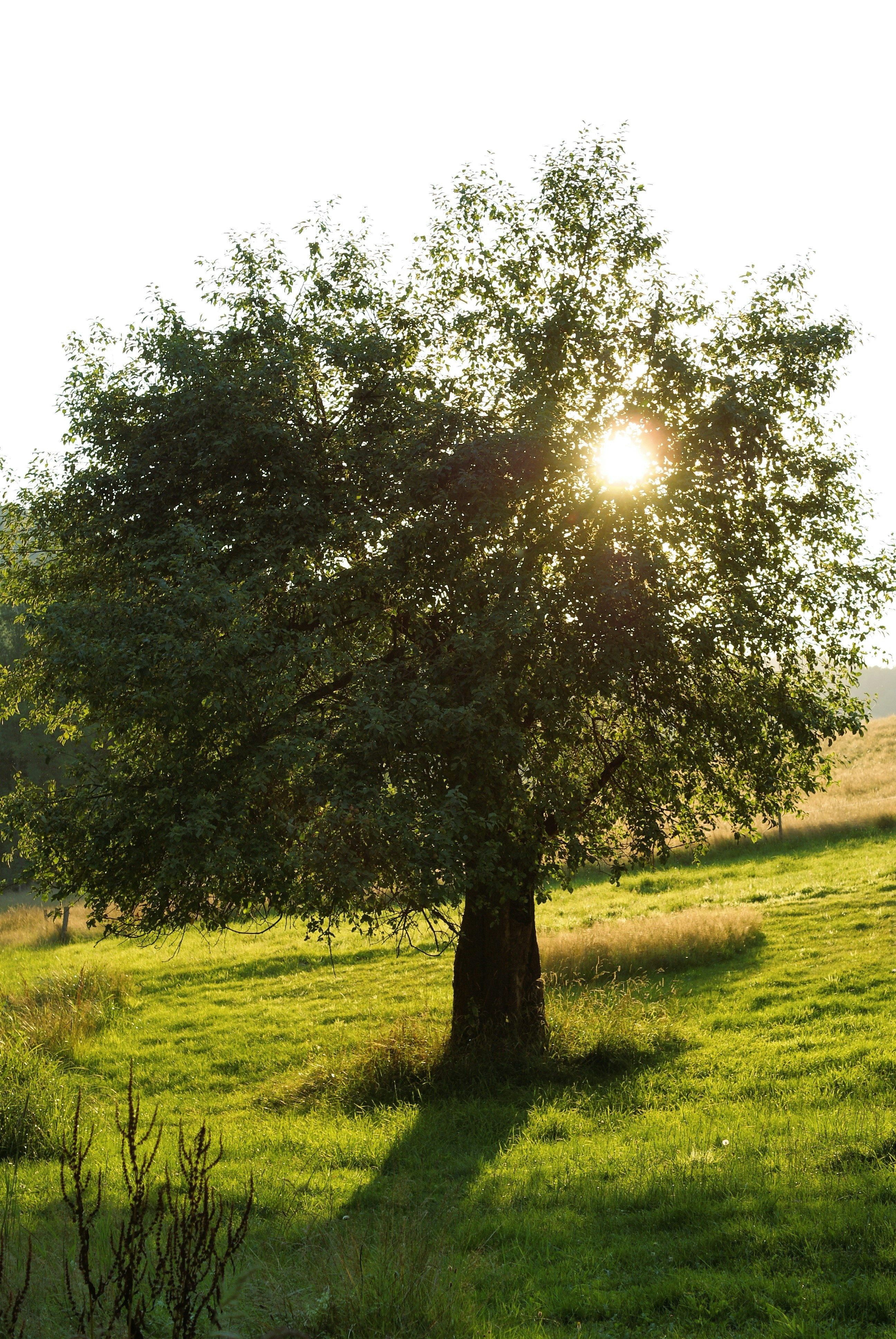 Photo by urszulakazmierczak