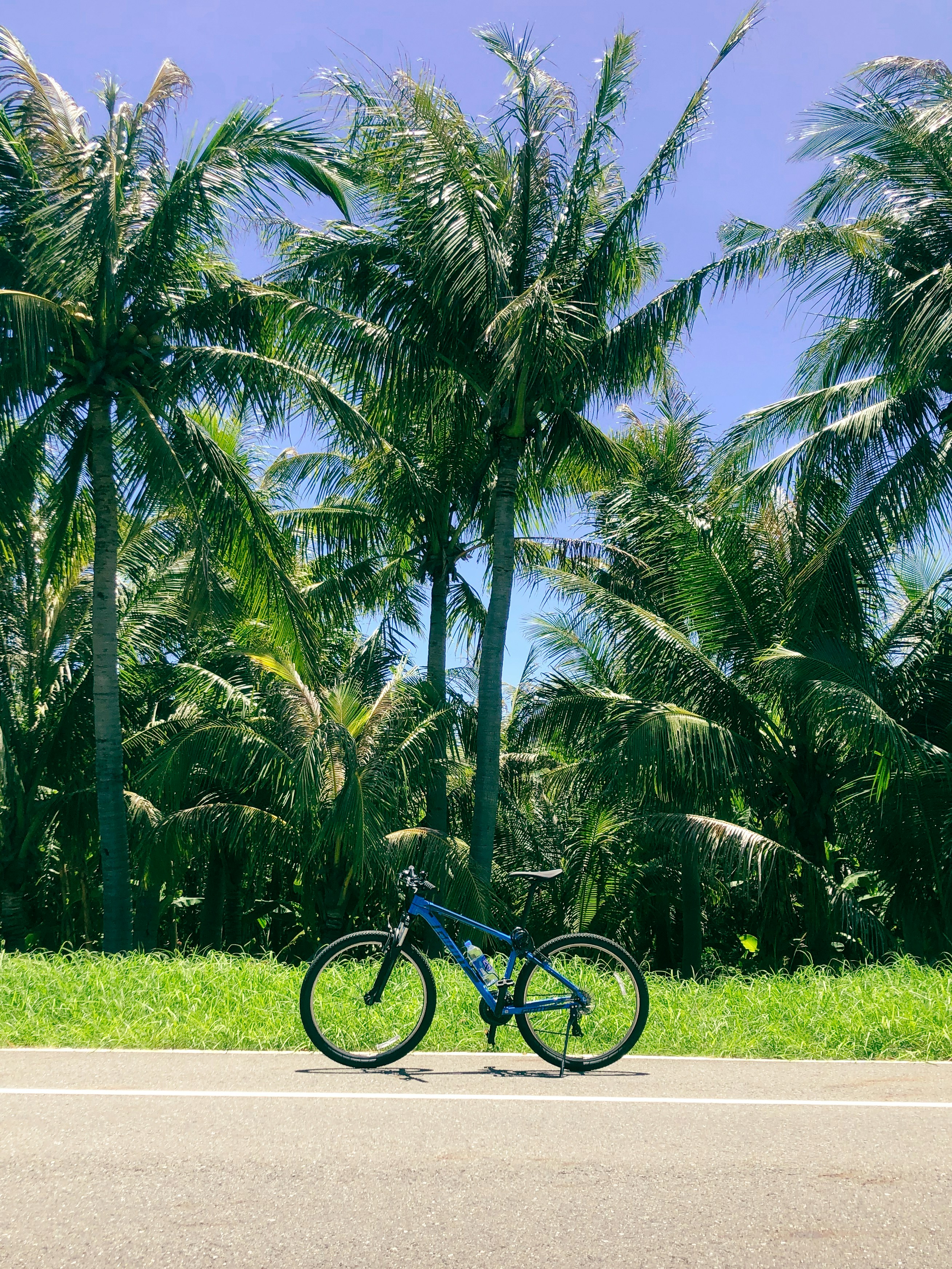 a bicycle parked on the side of the road