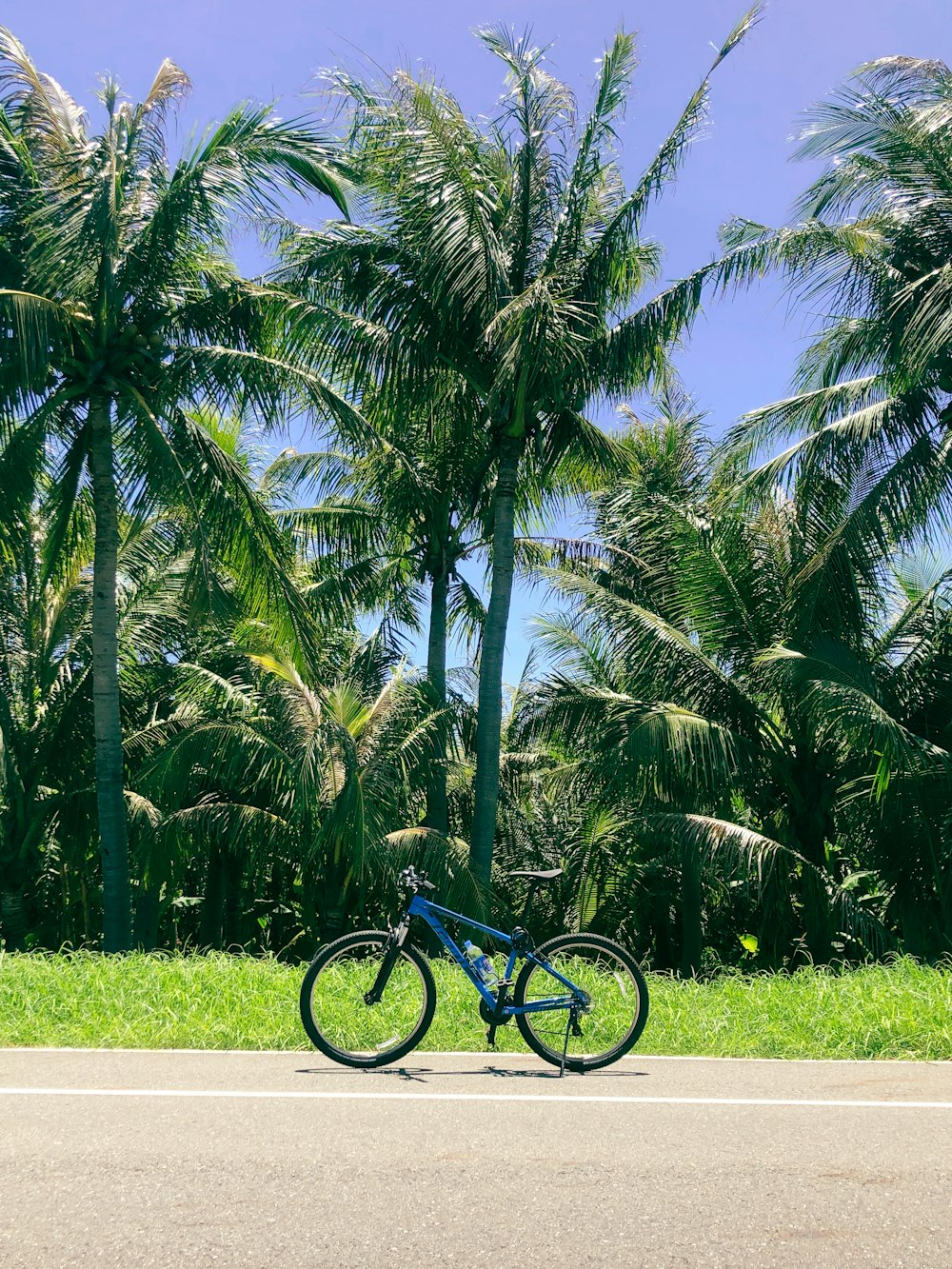 a bicycle parked on the side of the road