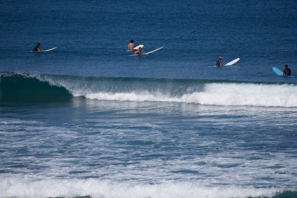 a group of people riding surfboards on top of a wave