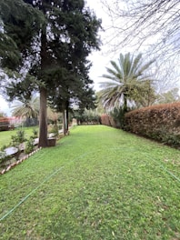A serene garden scene with a well-maintained grassy lawn, bordered by tall trees and a variety of shrubs. On the left, a path is lined with small bricks, and a palm tree stands prominently toward the right. The sky is lightly clouded, giving a mild contrast to the lush greenery.