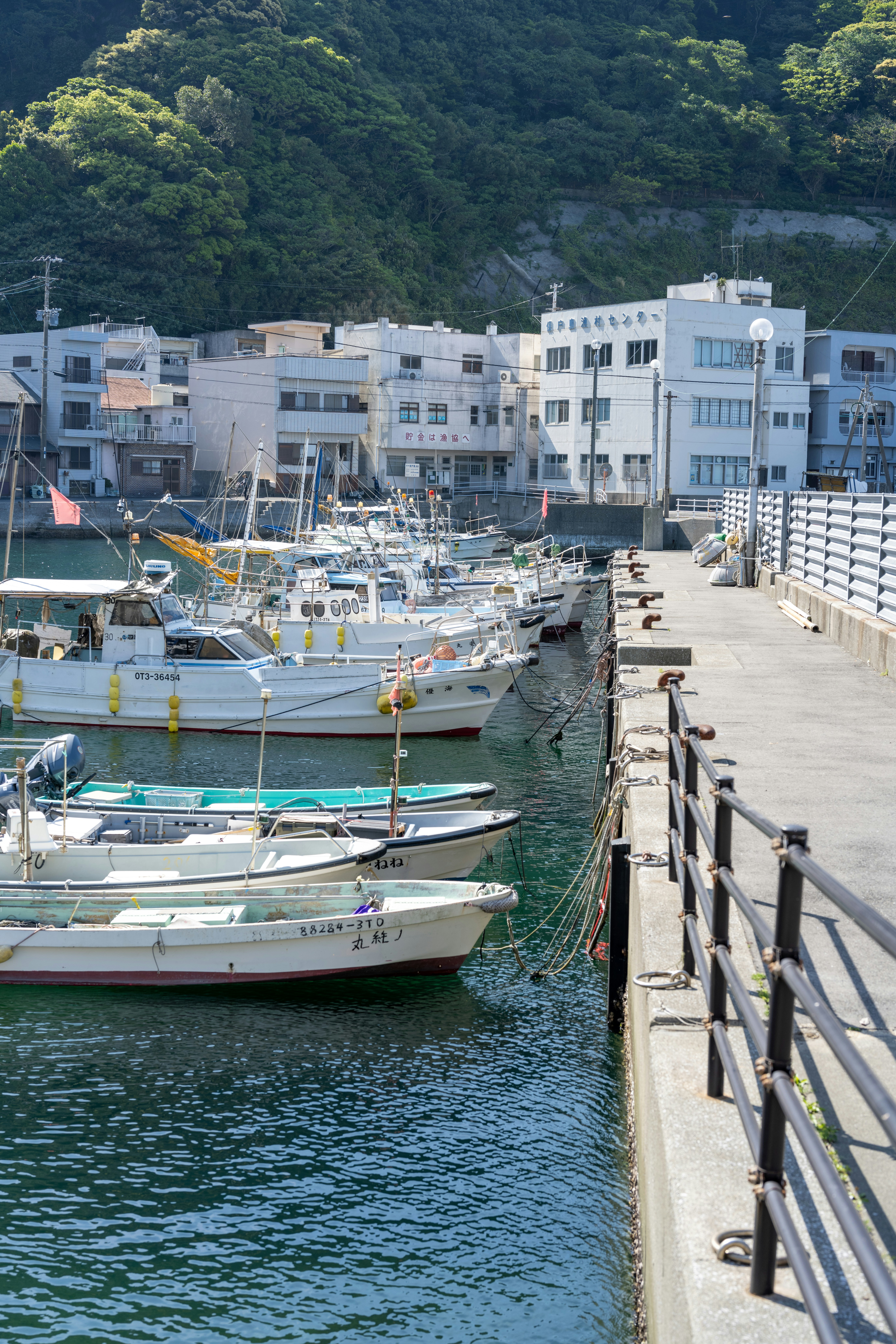 Setouchi ferry and local cuisine