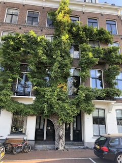 An urban building facade covered with lush green vines that extend from the base to the upper floors. The structure has several large windows reflecting the sky, and the vines create a natural, organic pattern against the brickwork. At street level, there are parked bicycles and a car in front of the entrance.