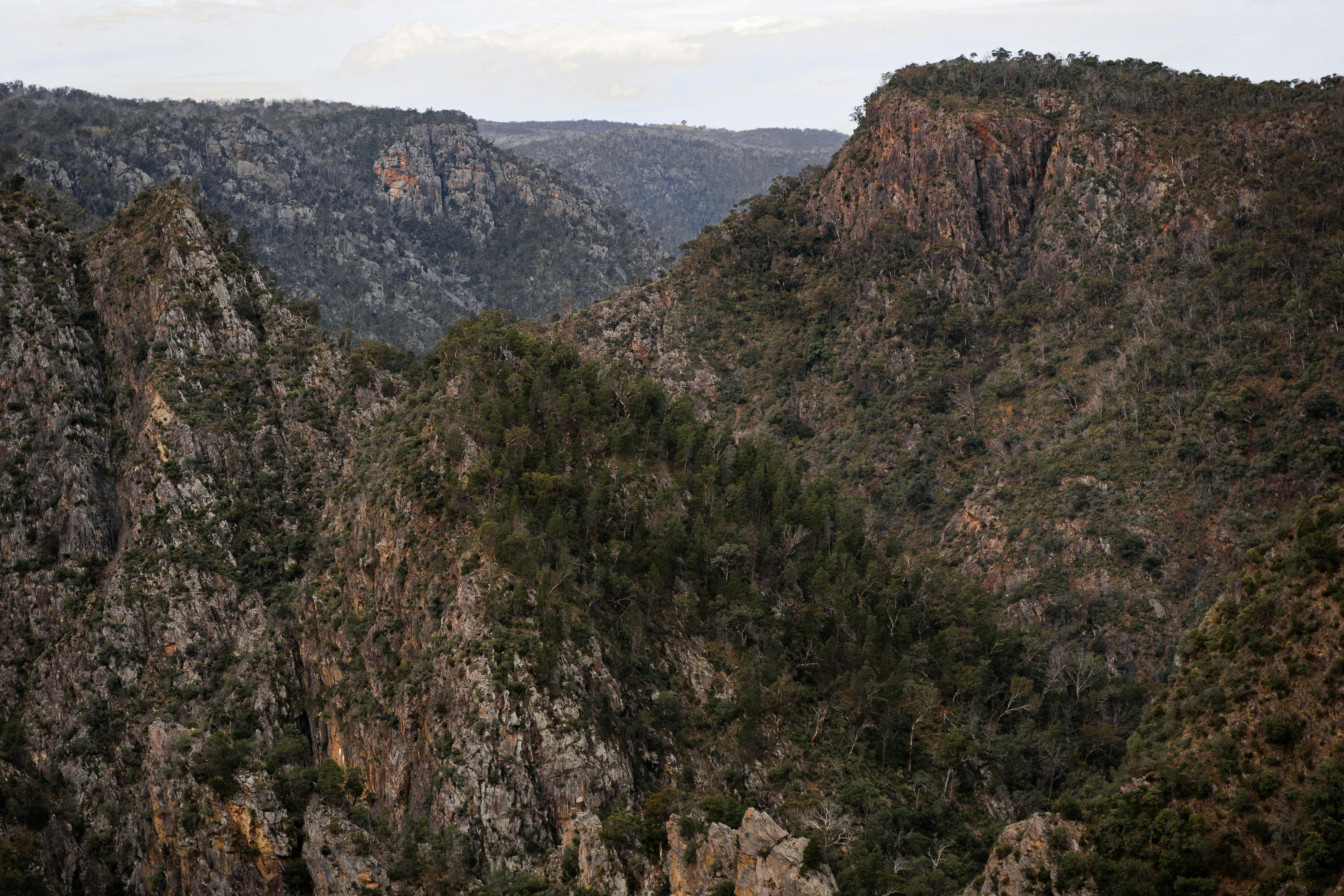 Photo by michellem18