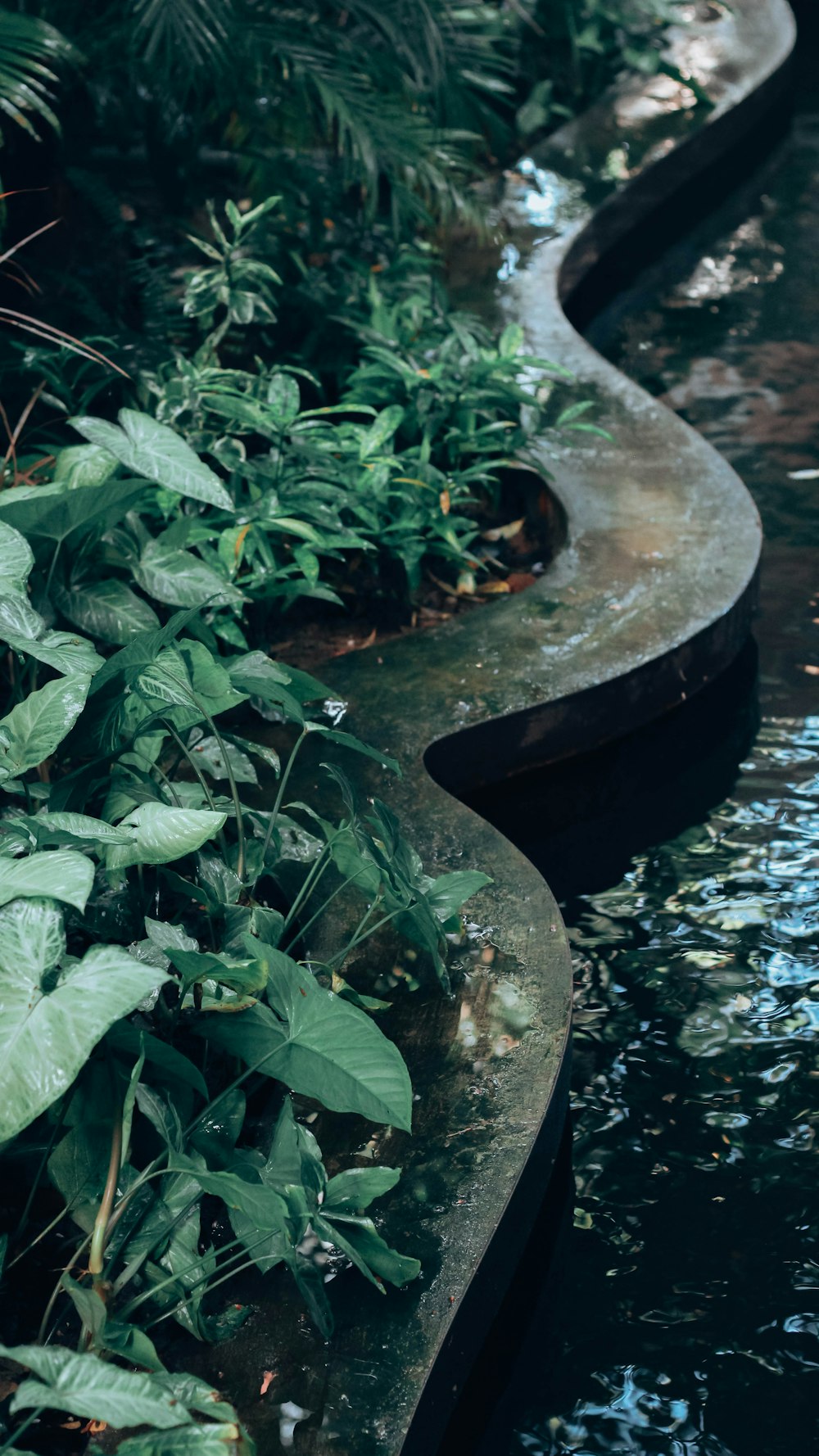 a row of water features in a garden