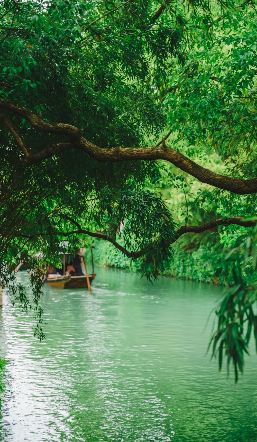a boat floating down a river next to a lush green forest