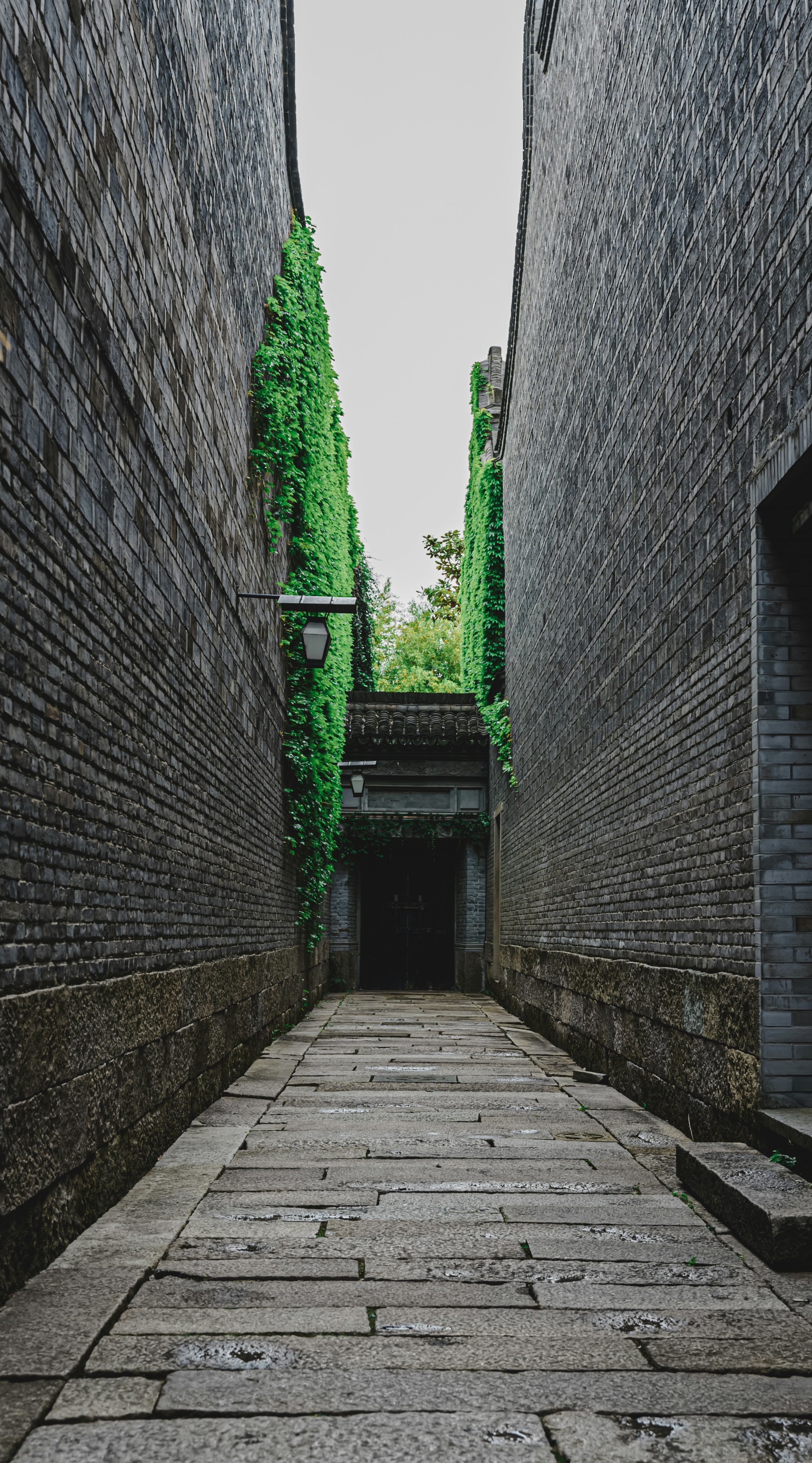 Photo by mocking_bird