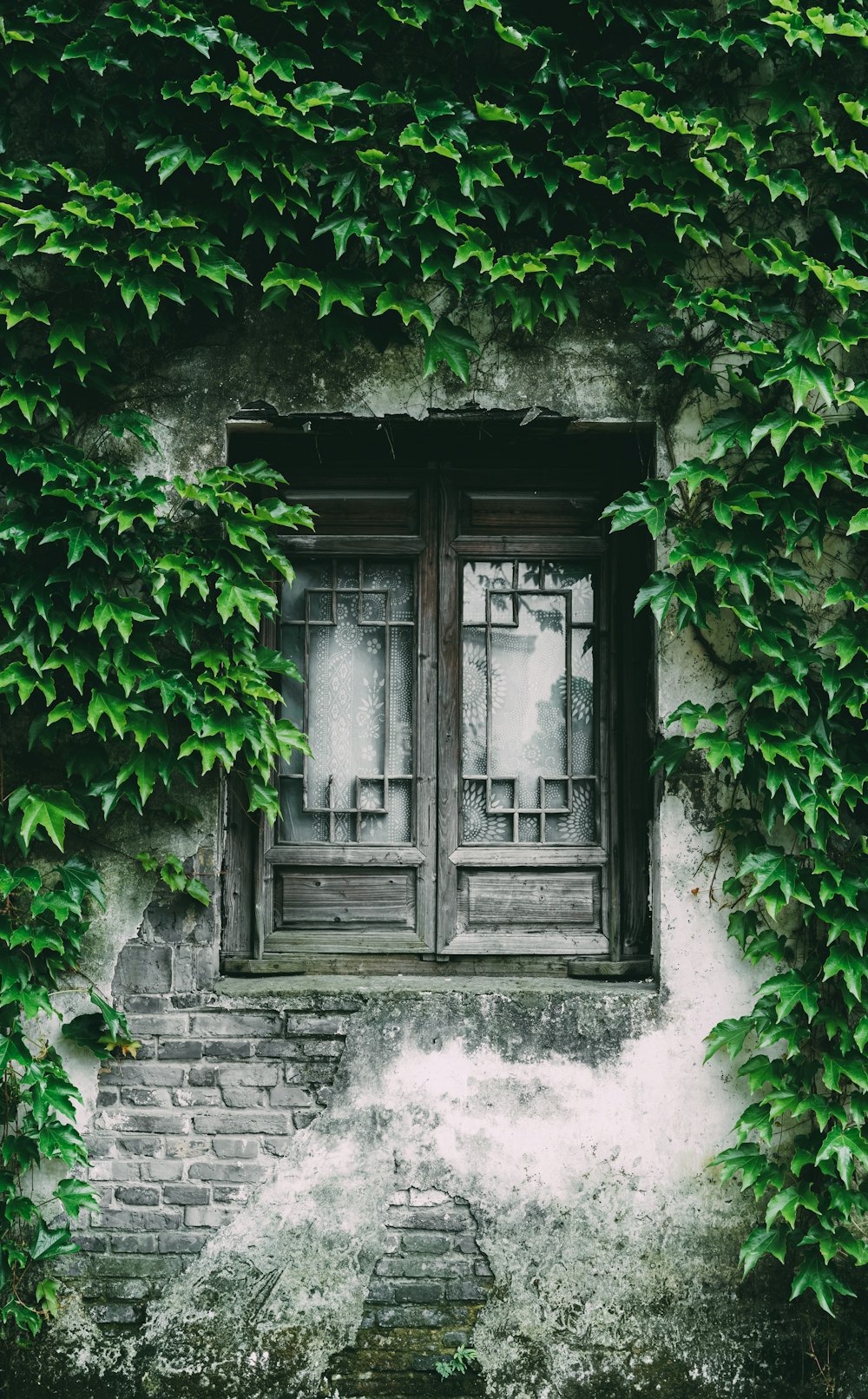 an old building covered in vines with a window