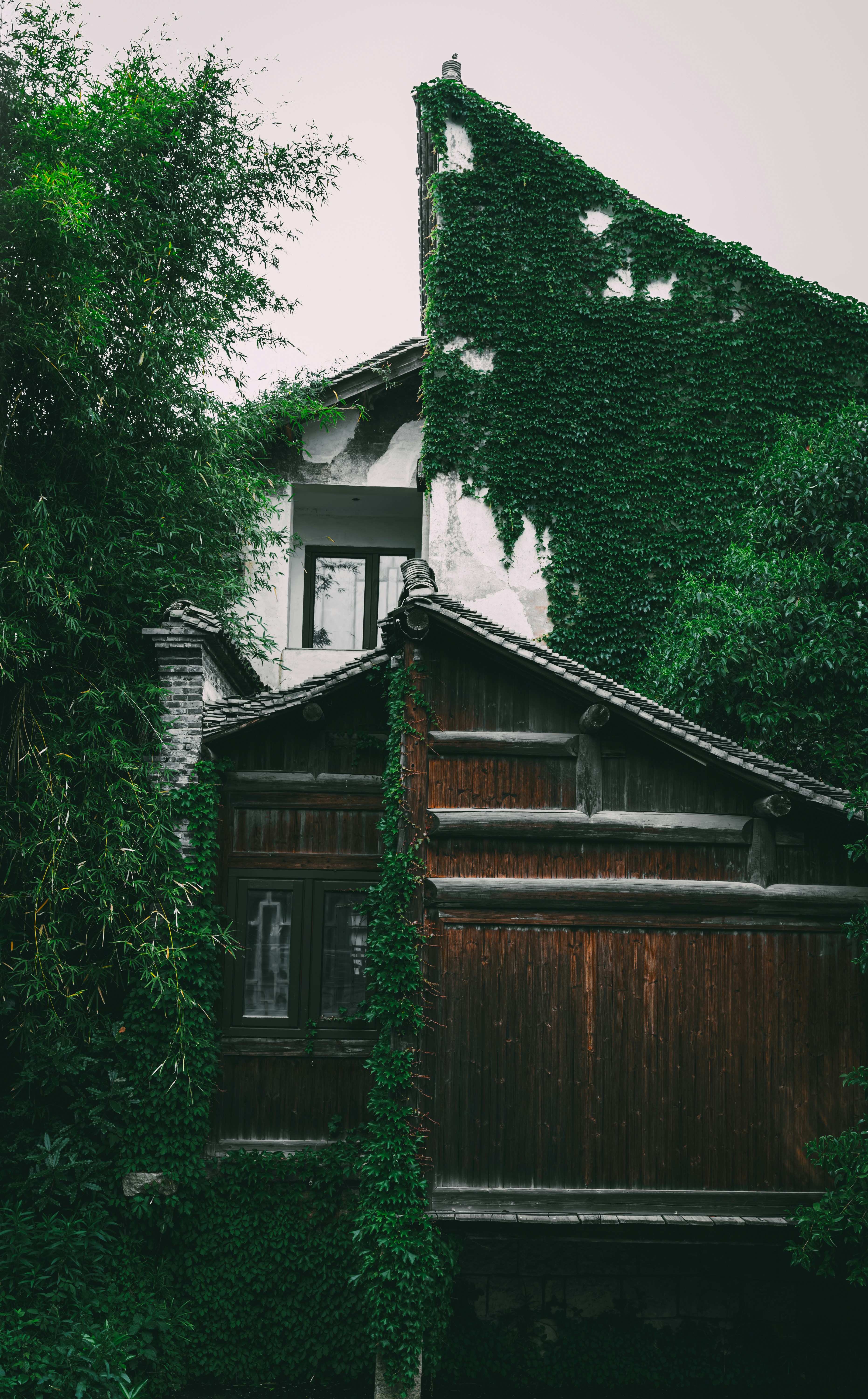 Photo by mocking_bird