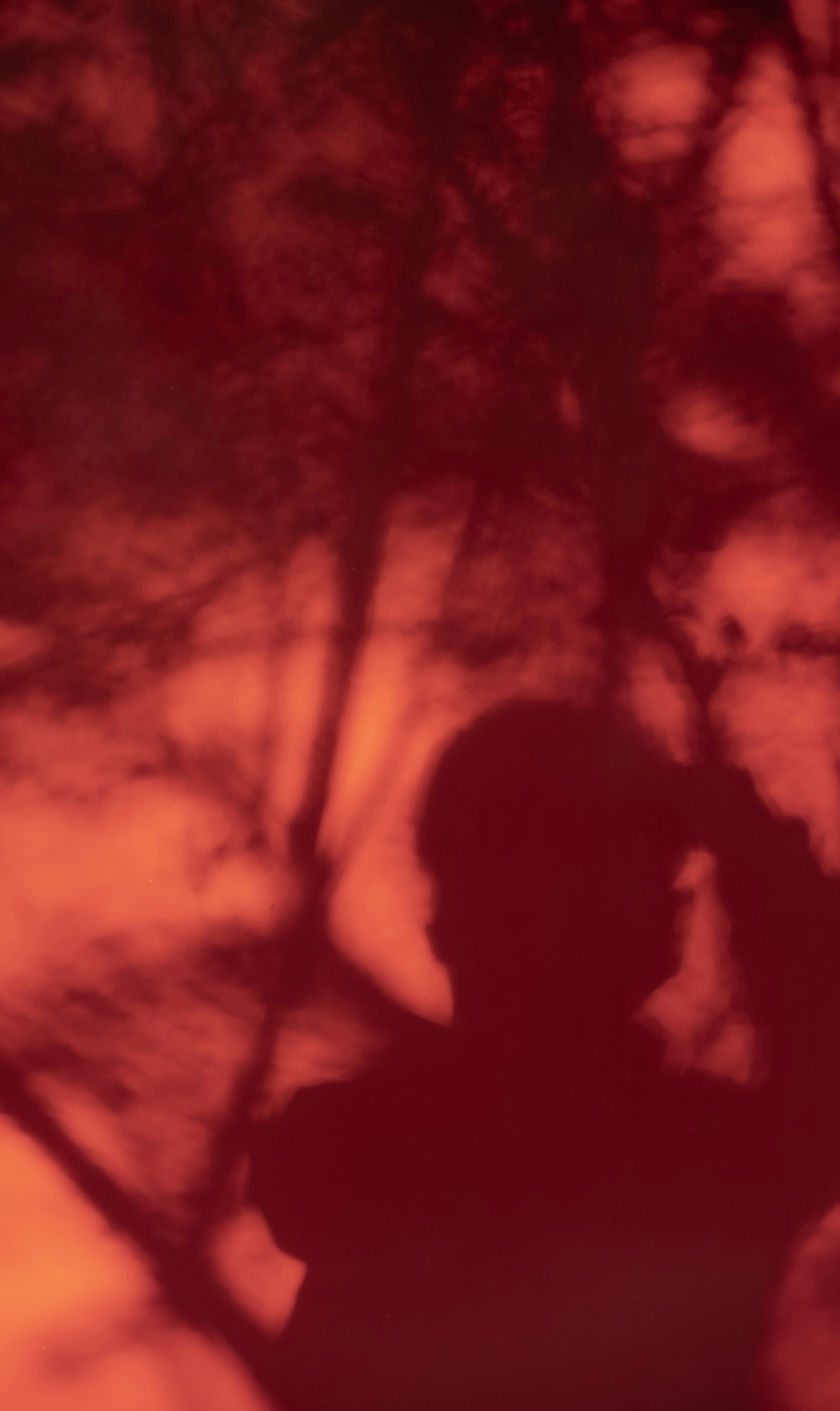 Photo by mocking_bird