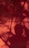 A shadowy silhouette of a person is projected against a richly colored red-orange background, intertwined with blurred natural elements like tree branches.