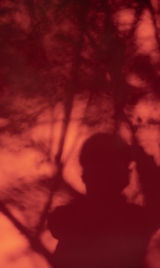 A shadowy silhouette of a person is projected against a richly colored red-orange background, intertwined with blurred natural elements like tree branches.