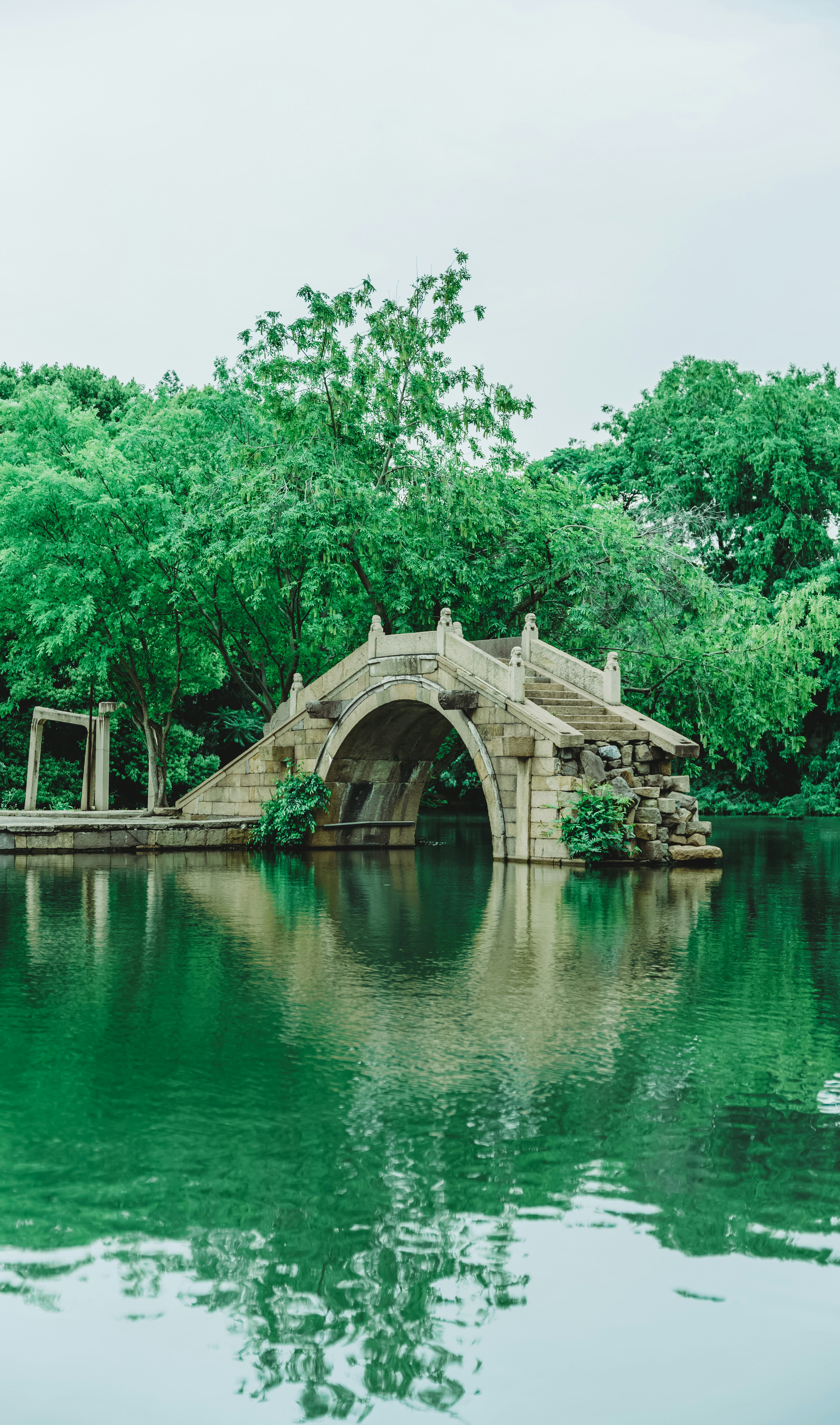 a bridge over a body of water surrounded by trees