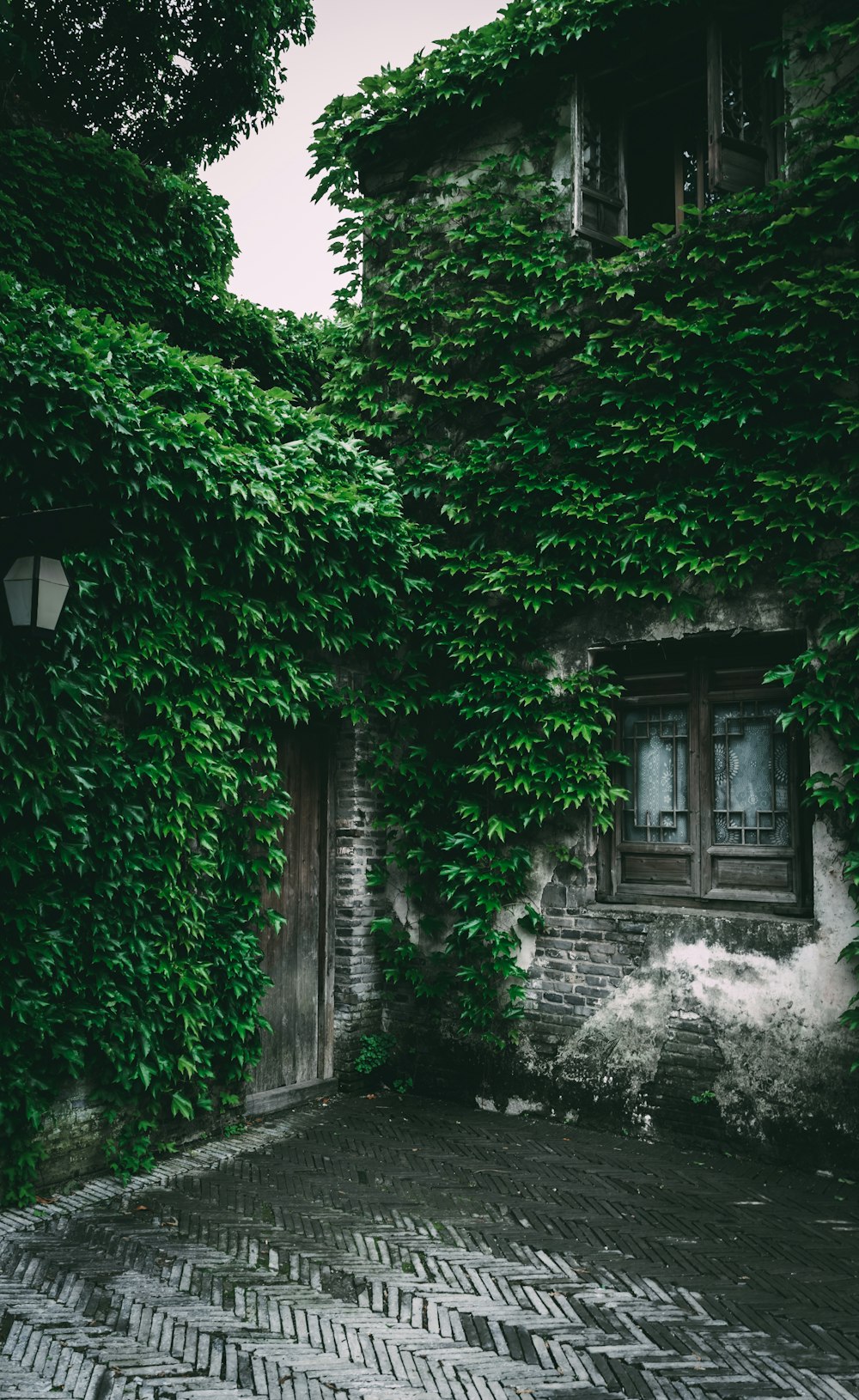 a building covered in green vines next to a cobblestone road