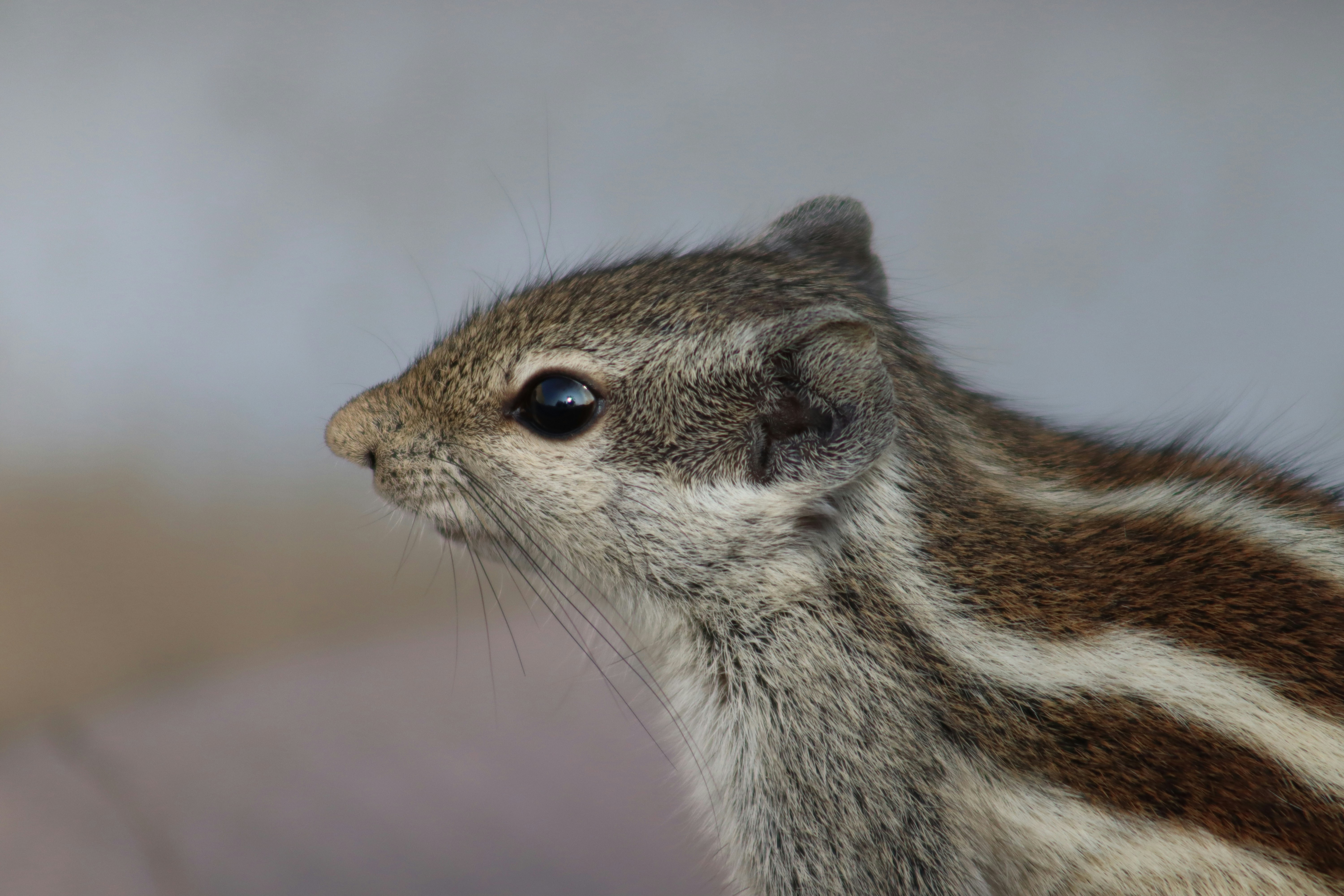 Photo by drphotographer152