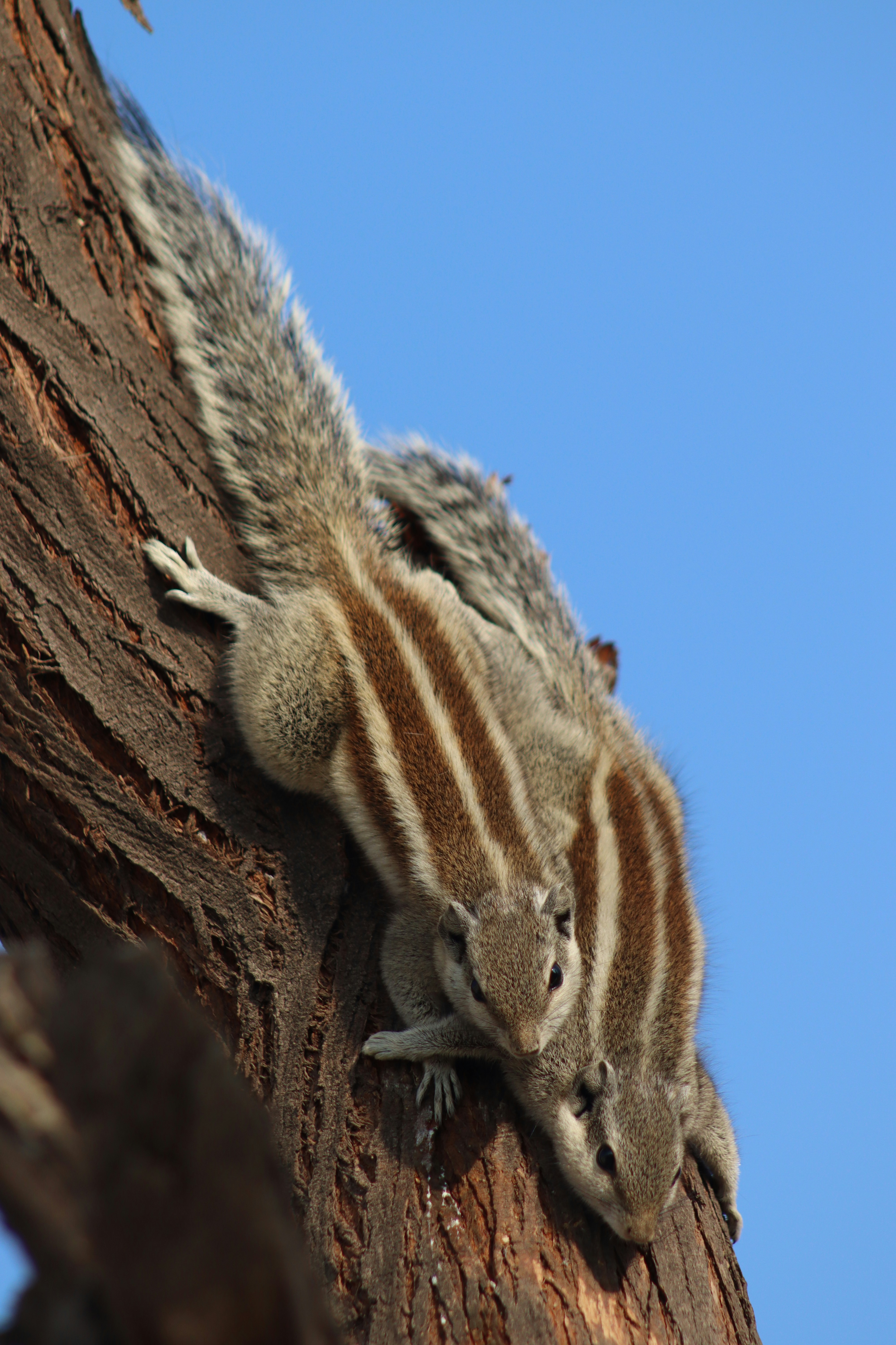 Photo by drphotographer152