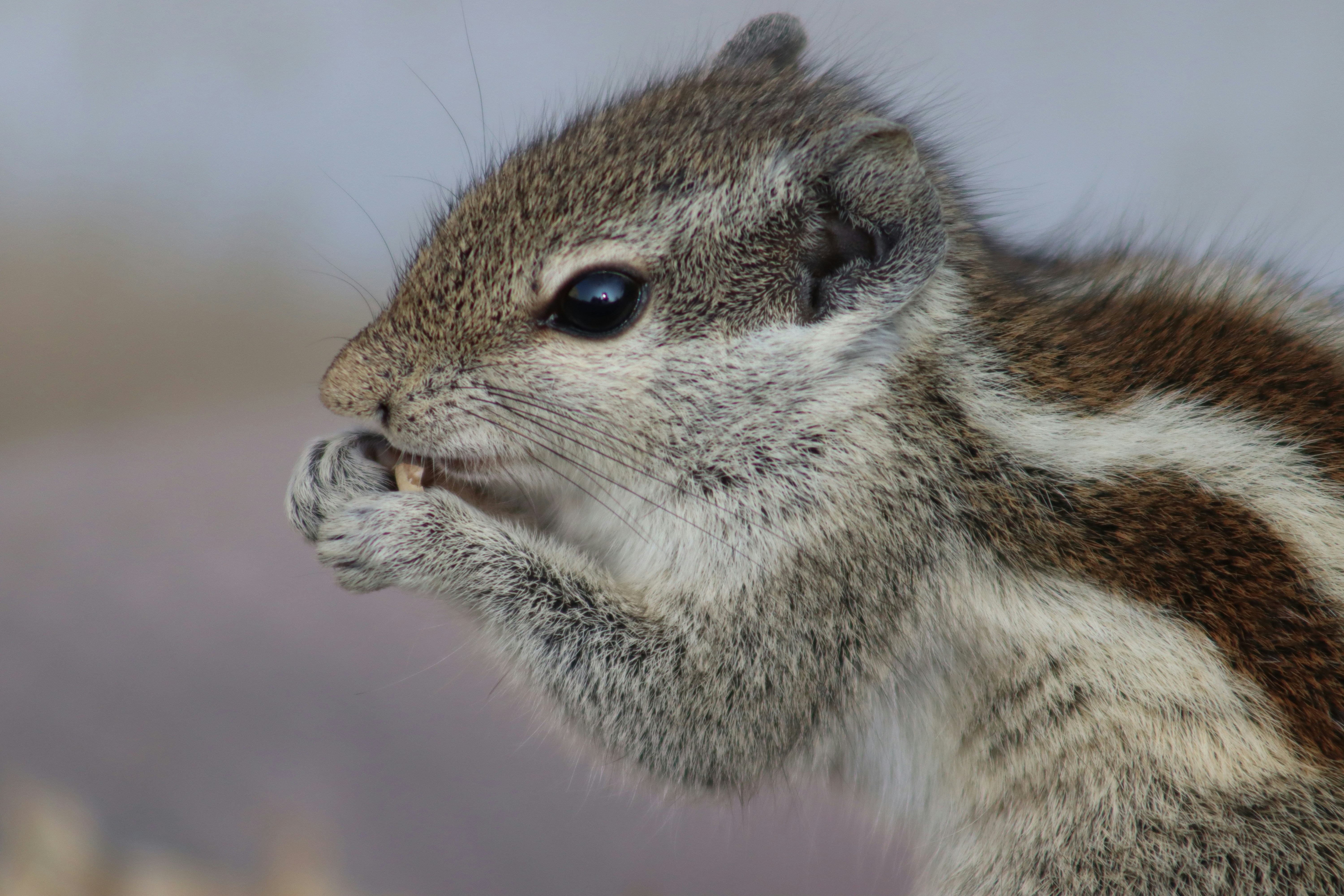 Photo by drphotographer152