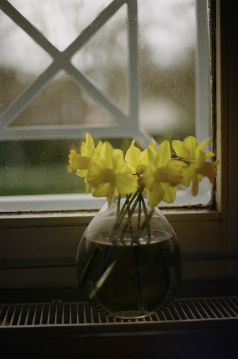 a vase filled with yellow flowers next to a window