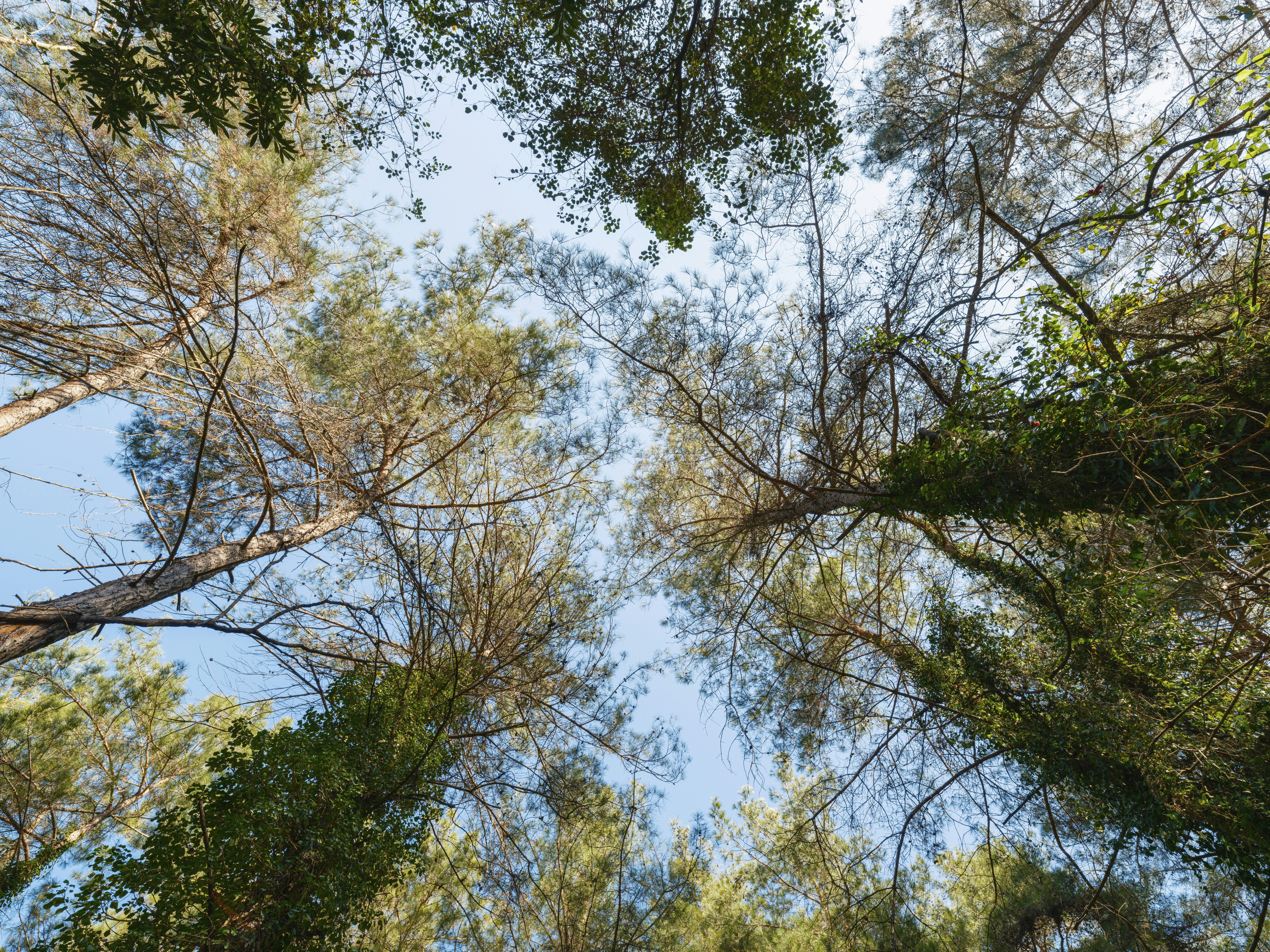 Photo by enginakyurt