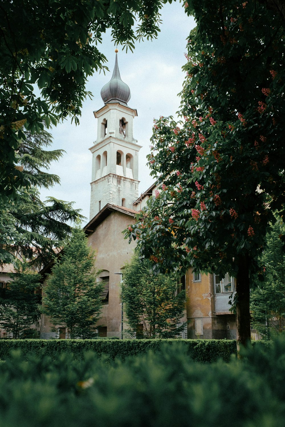 uma igreja com um campanário cercado por árvores