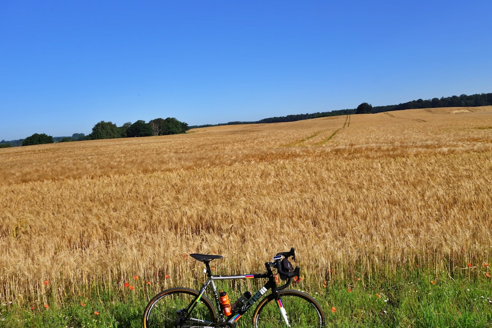 a bike parked in a field of wheat