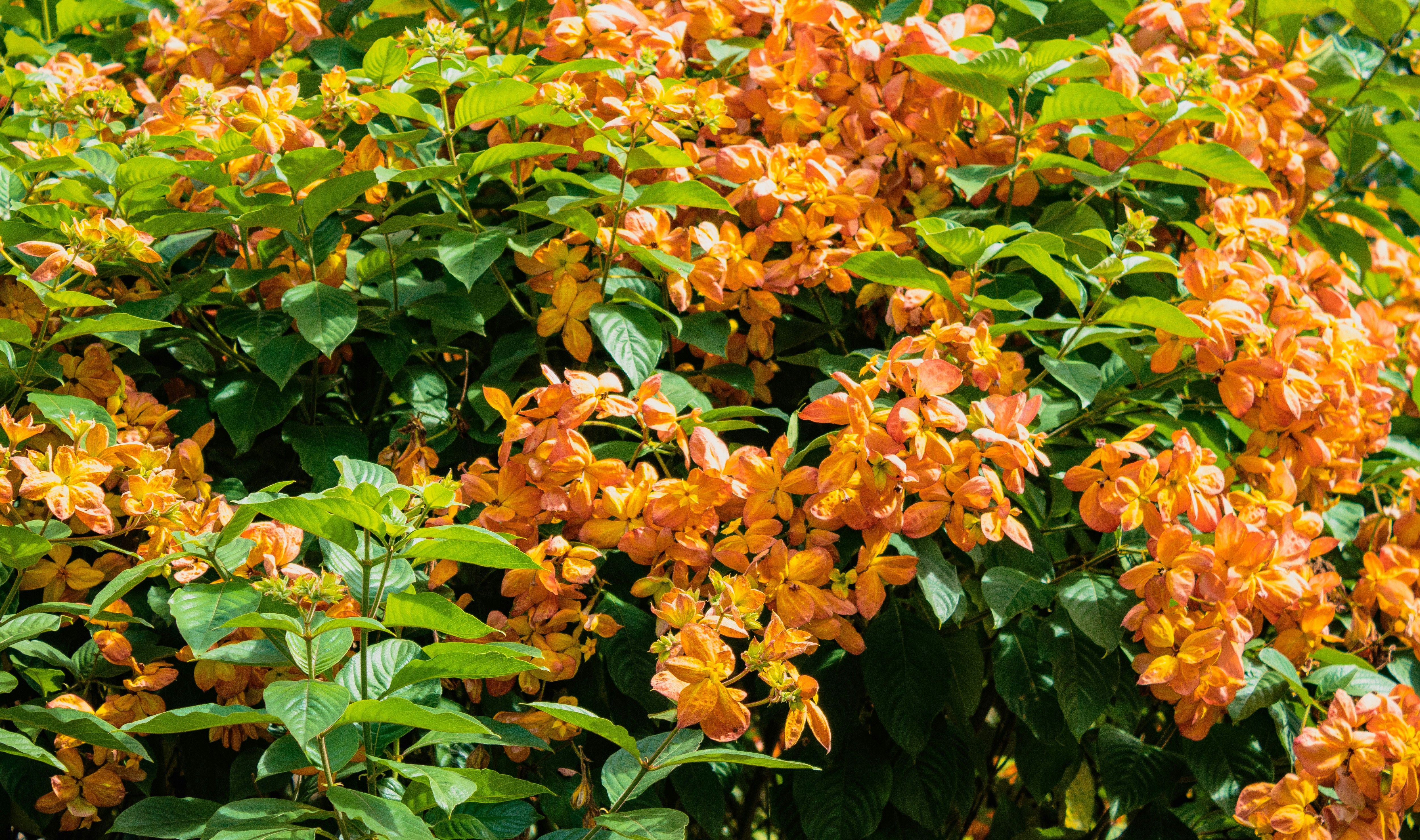 Photo by nataliesphotography