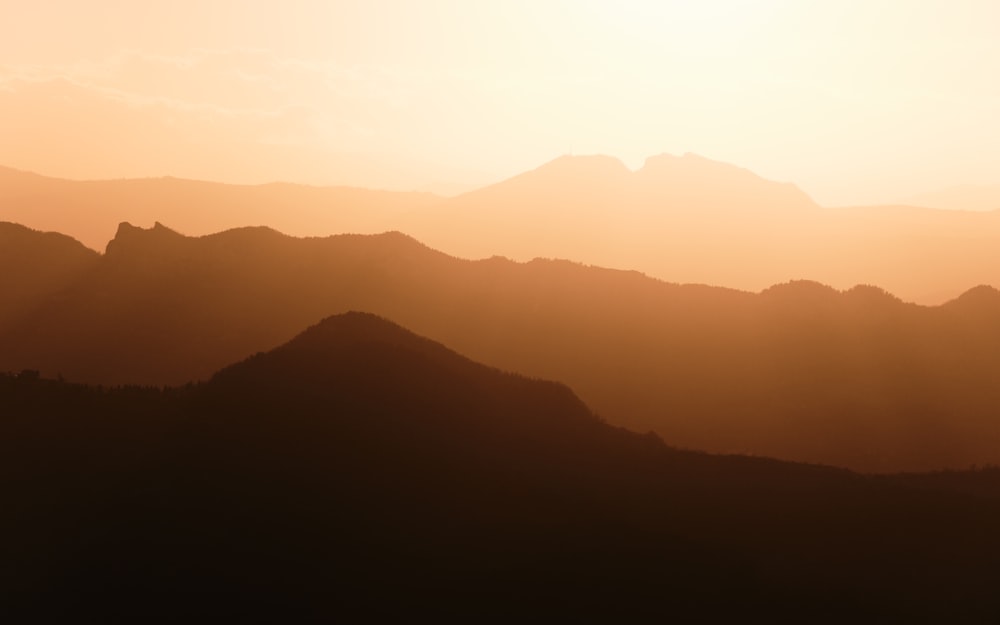 a bird flying over a mountain range at sunset