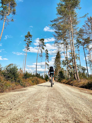 Cyclists riding along a winding forest path under a clear blue sky.