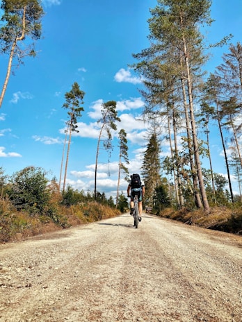 A cyclist in retro gear riding along a tree-lined country road under a clear blue sky.