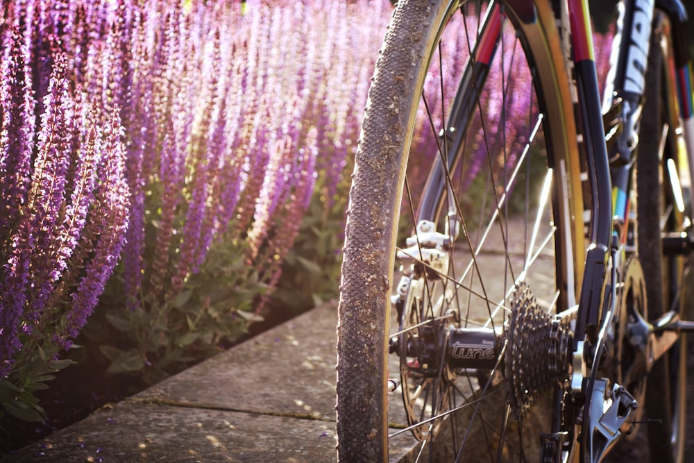a bicycle parked next to a field of purple flowers
