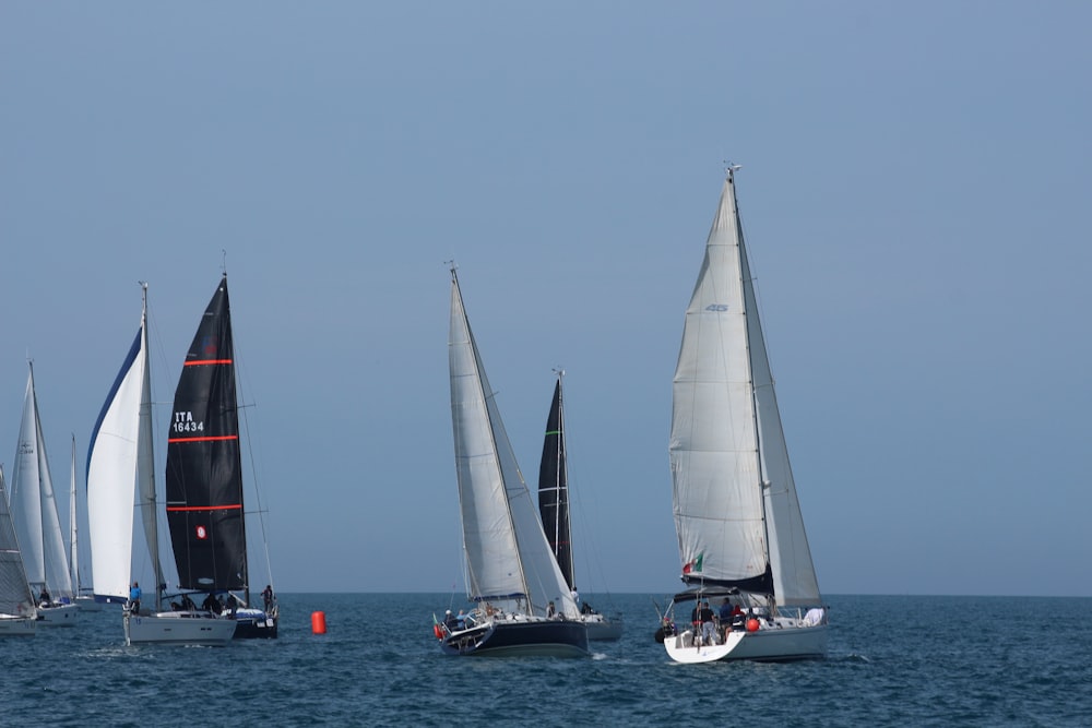 a group of sailboats sailing in the ocean