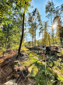 a man riding a bike through a forest filled with trees