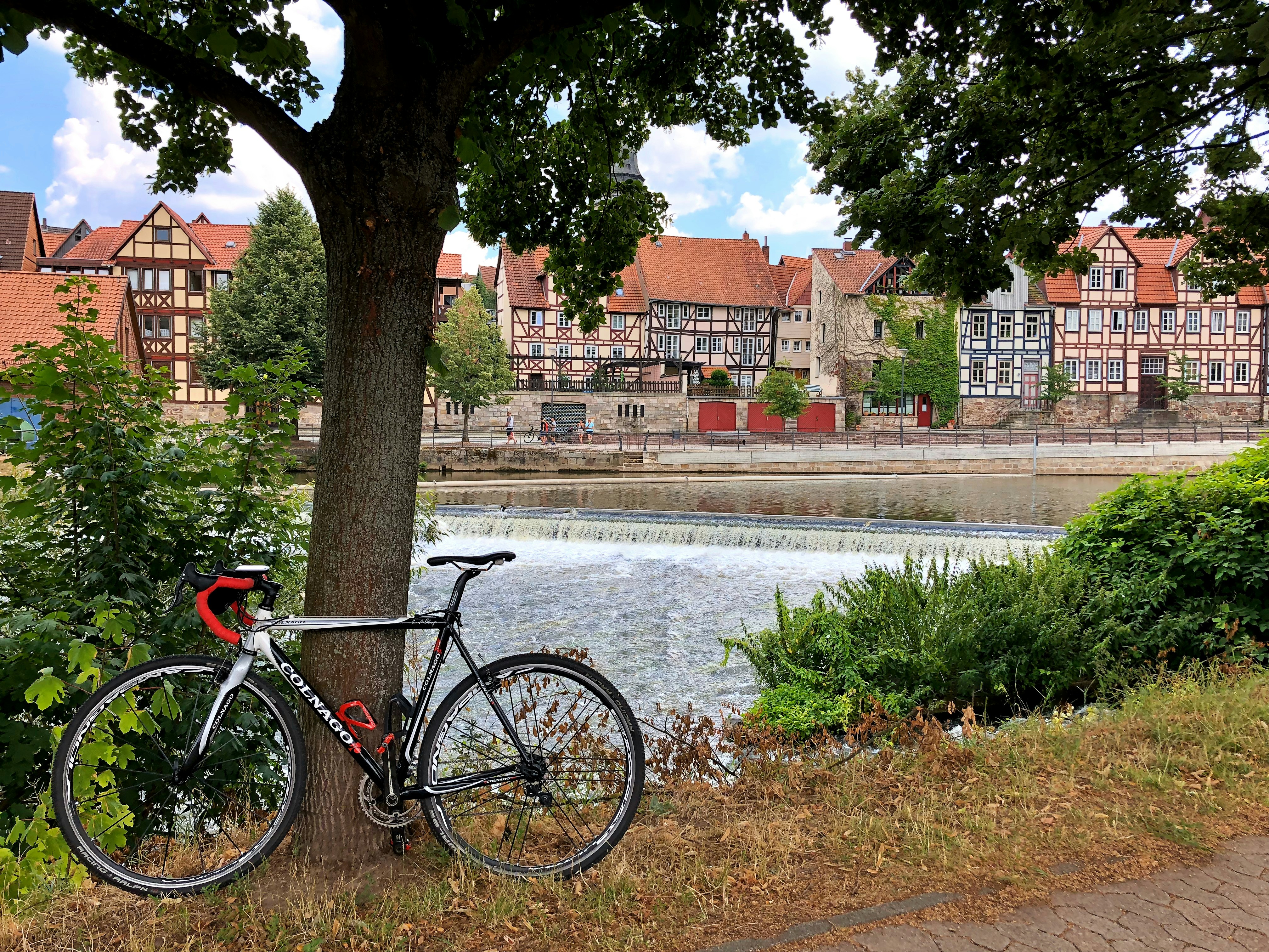 a bicycle parked next to a tree near a river