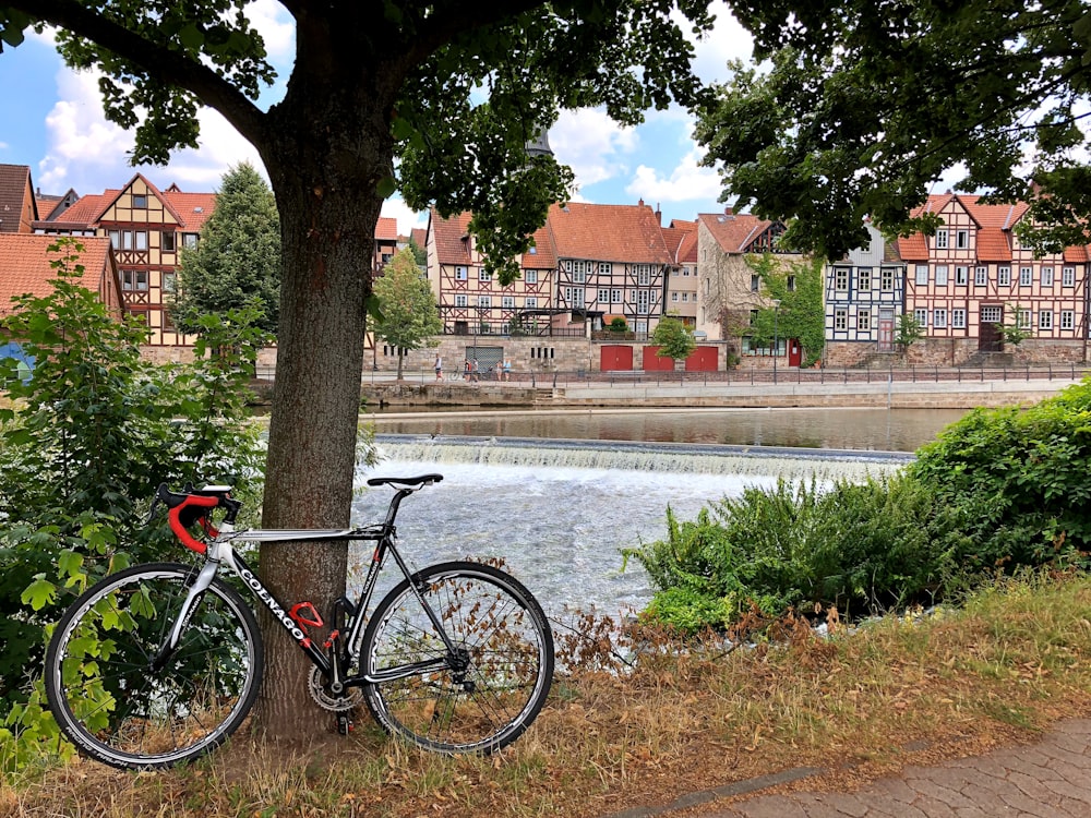 a bicycle parked next to a tree near a river