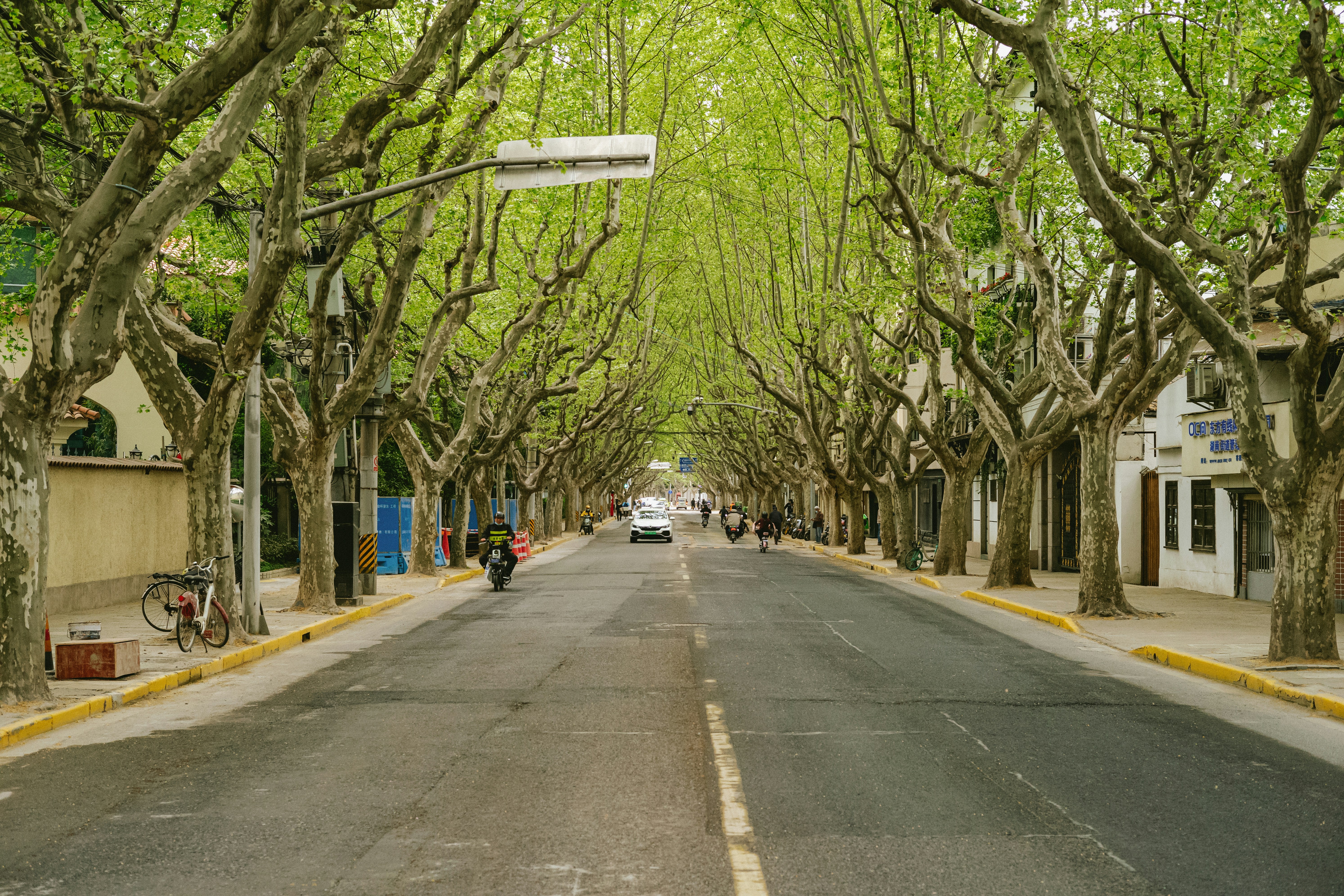 Photo by tommaomaoer