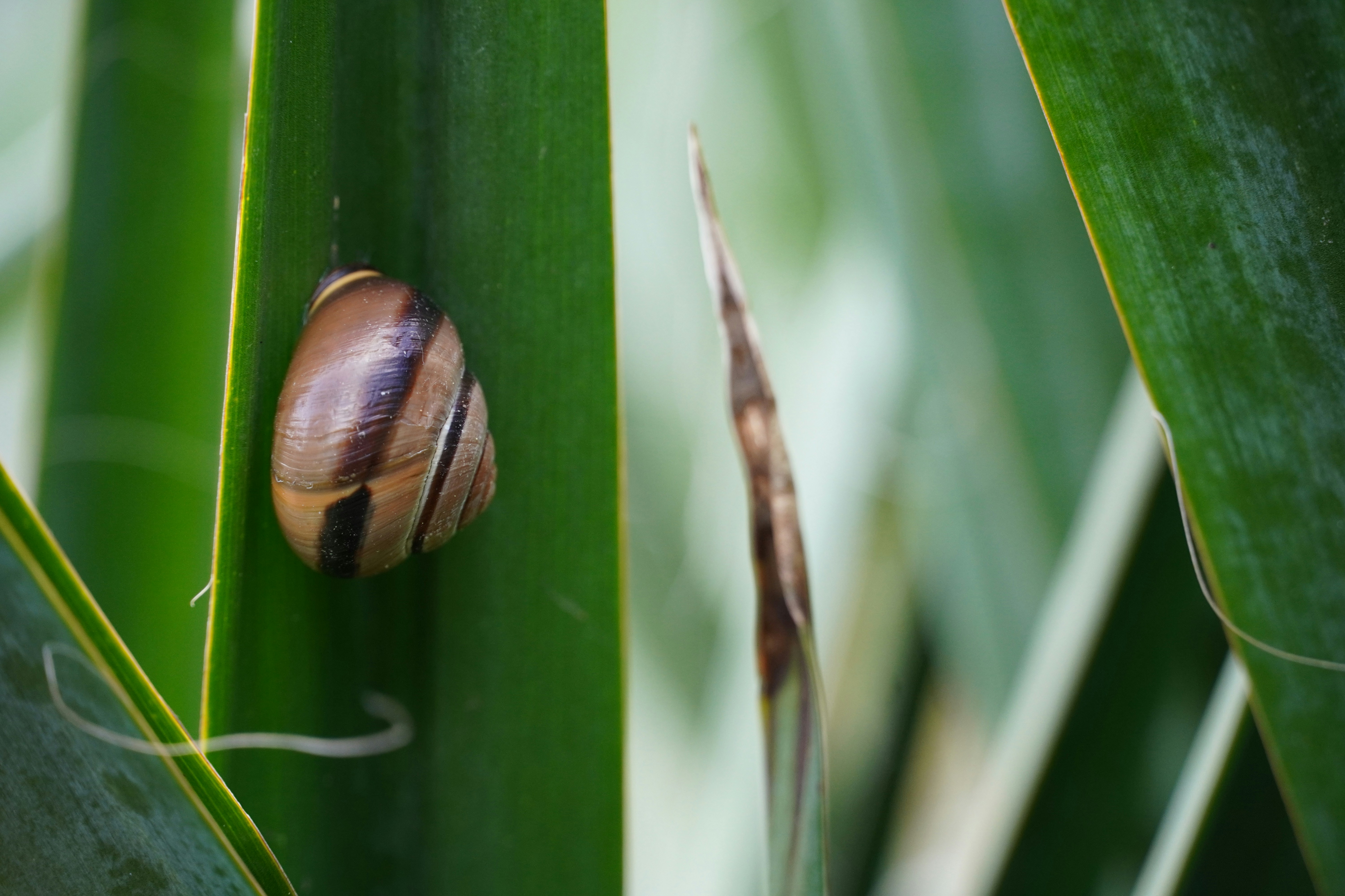 Photo by theodor_jacob