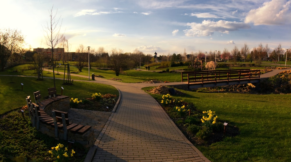 a walkway in a park with benches and flowers