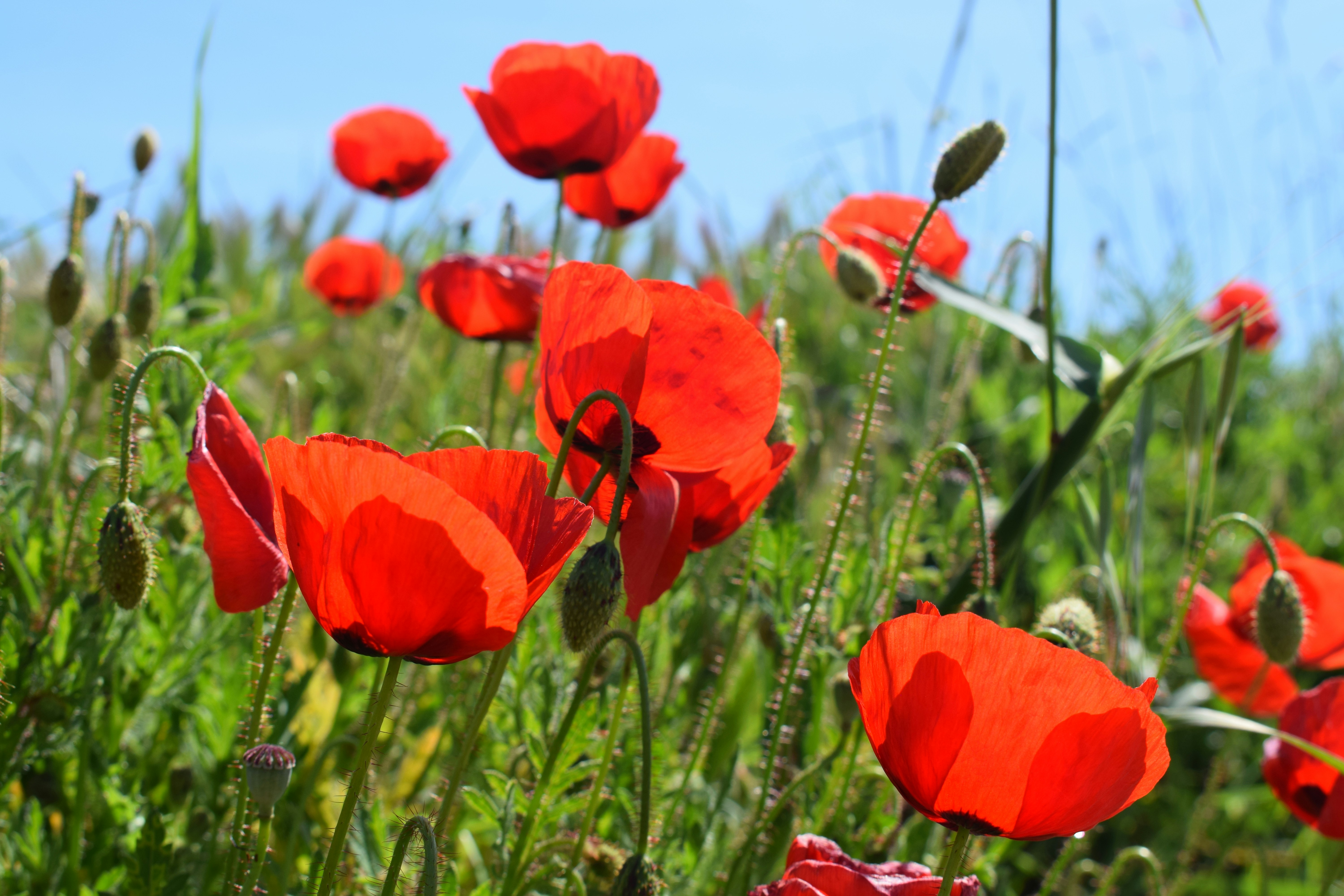 Photo by kristina001