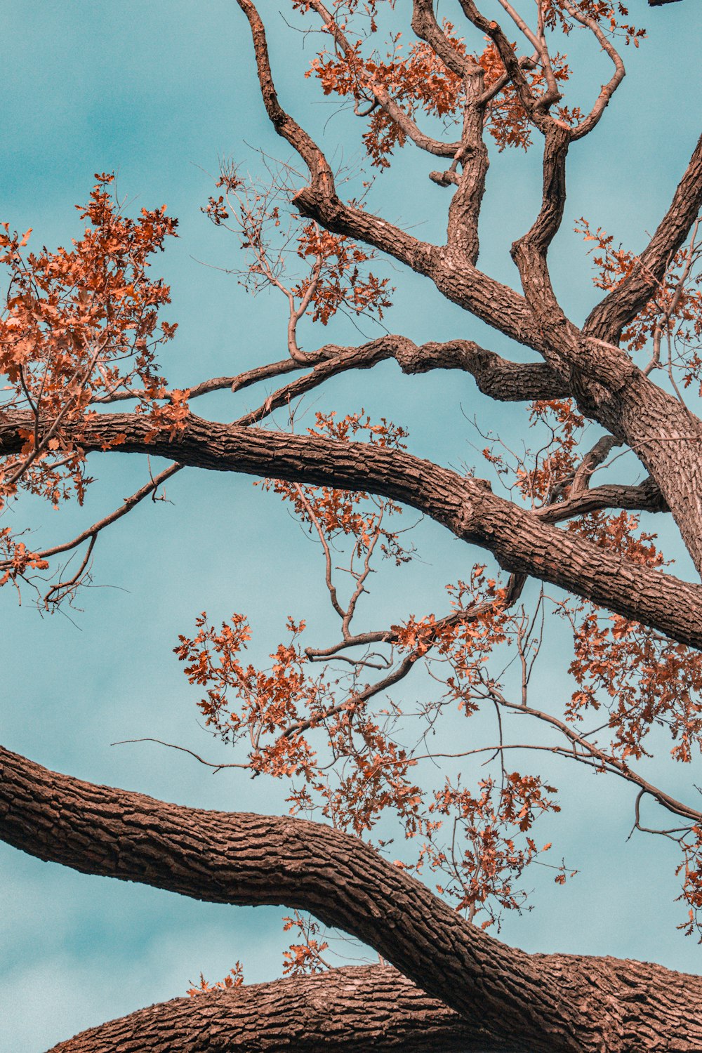 Un uccello appollaiato sulla cima di un ramo d'albero