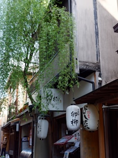 A narrow street featuring traditional Japanese architecture with wooden structures and paper lanterns hanging outside. Lush green foliage cascades down from a tree, adding a touch of nature to the serene urban setting. A person in a brown jacket stands on the left, seemingly occupied with their phone.