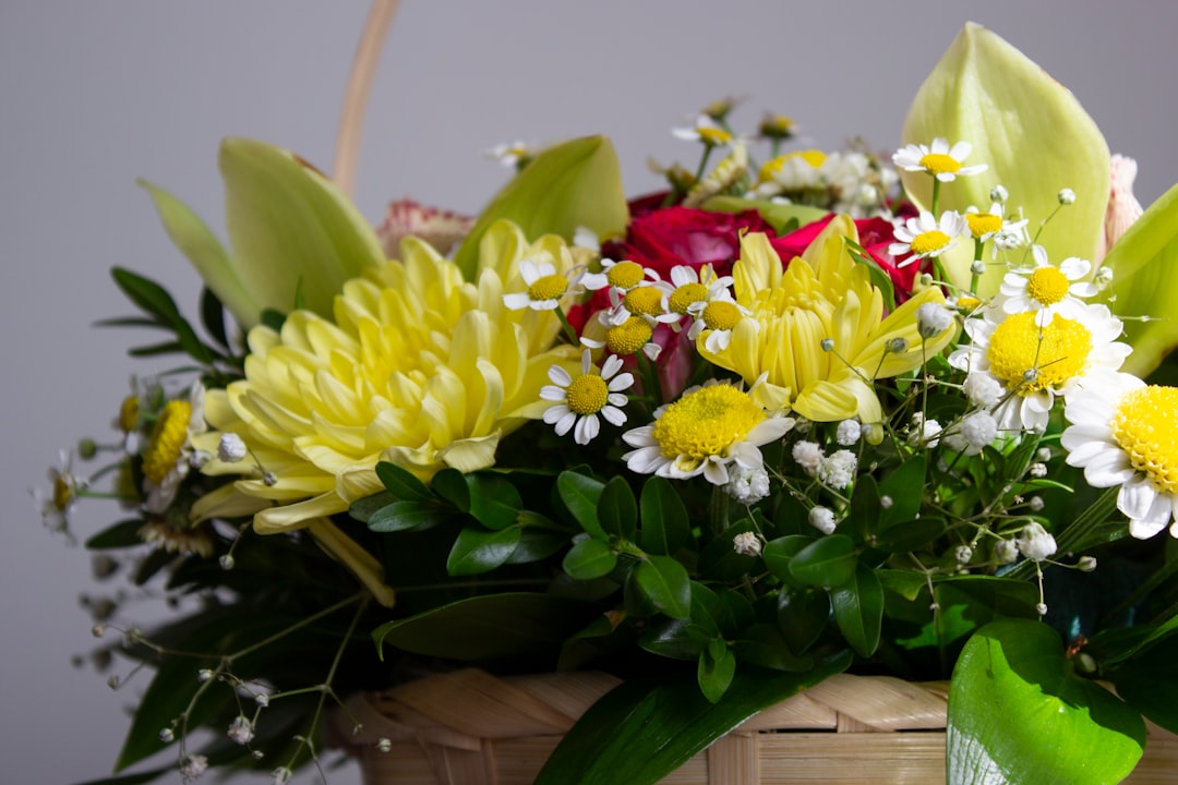 sympathy basket arrangement sympathy basket arrangement