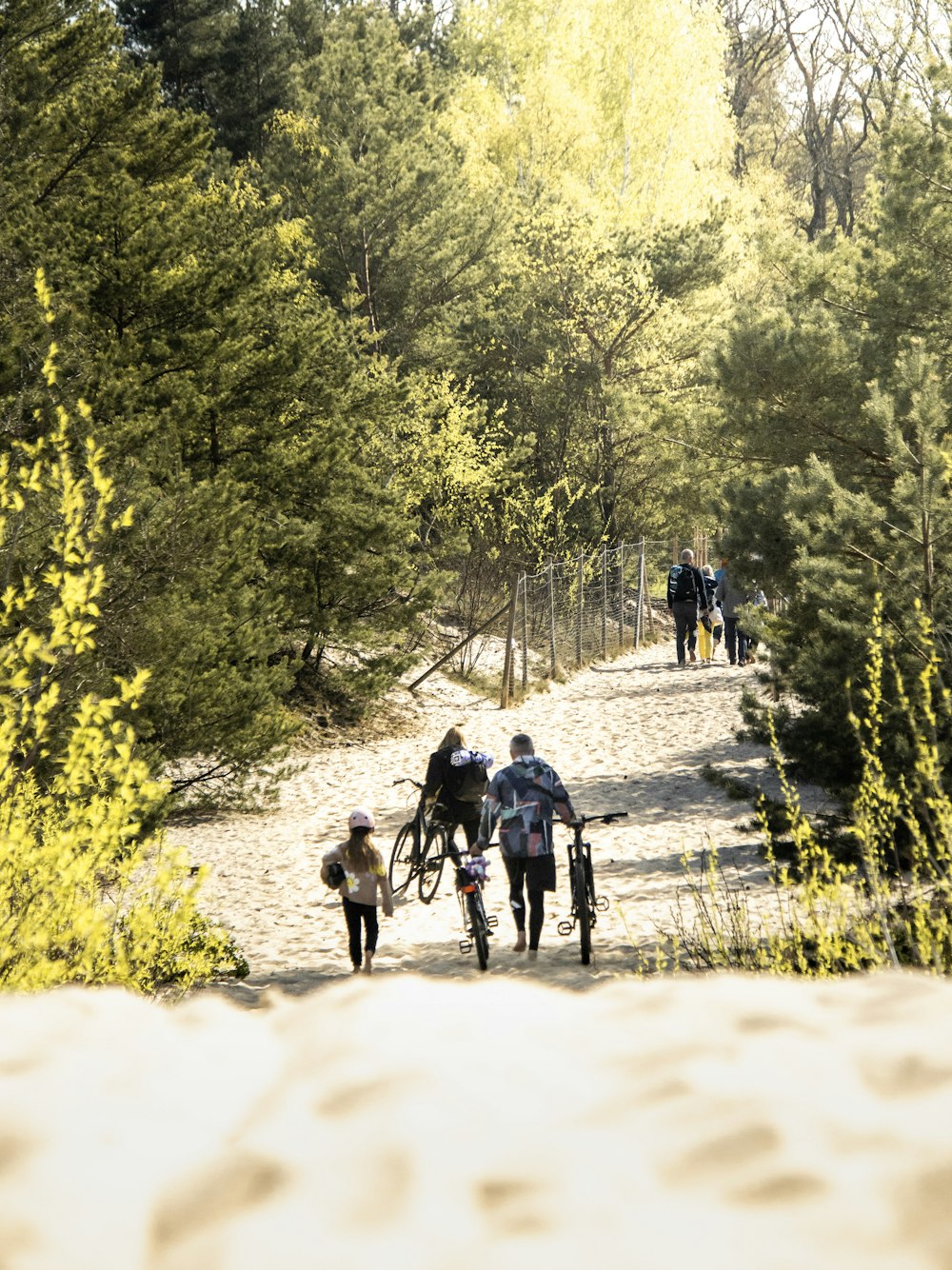 a group of people riding bikes down a dirt road