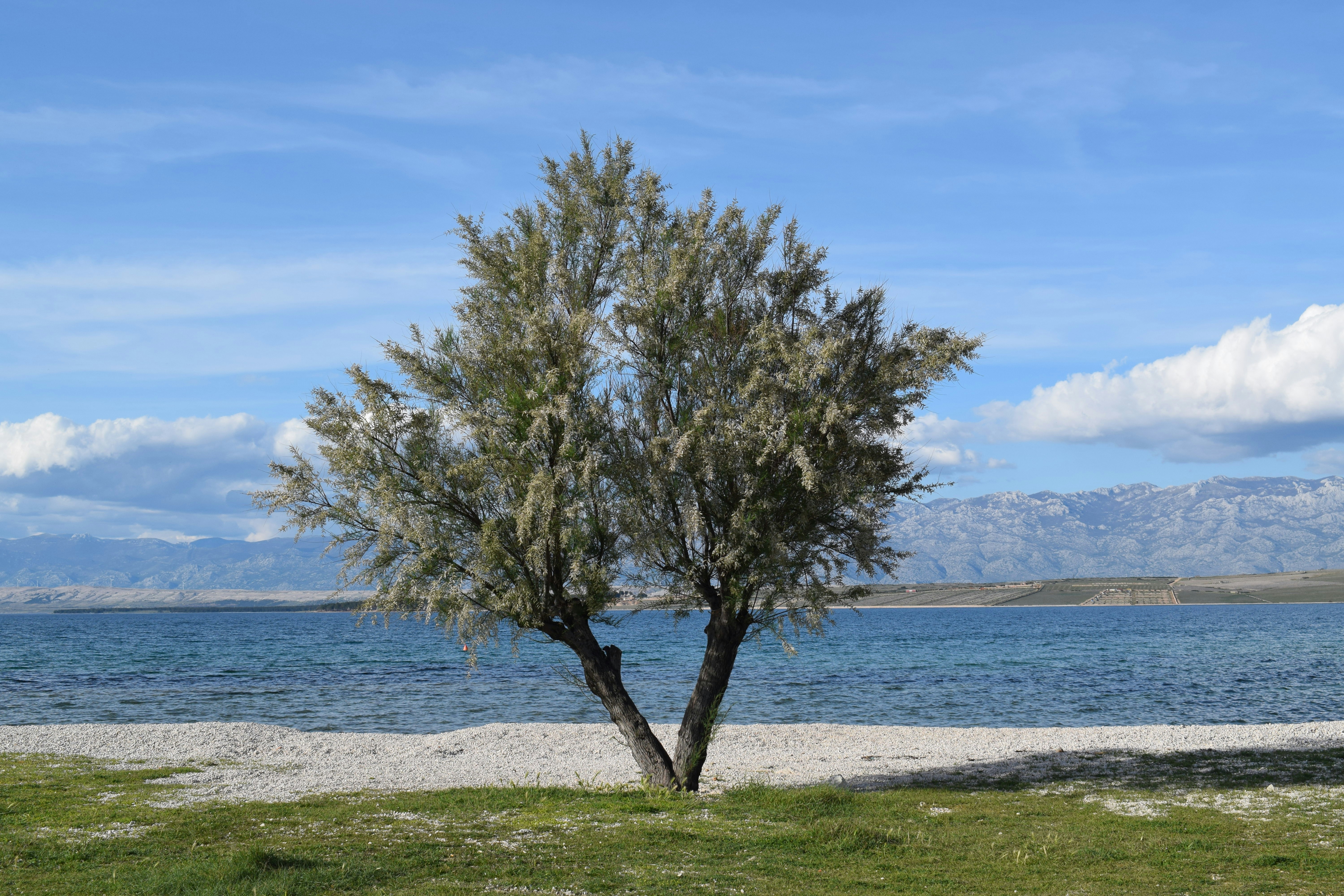 Image by Kristina Kutleša via Unsplash