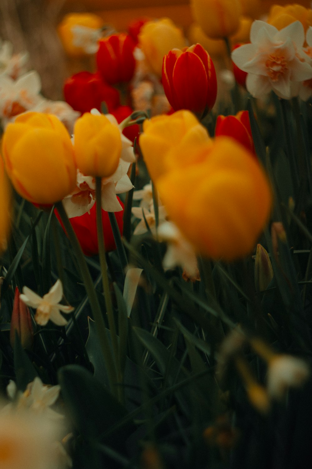 un ramo de flores que están en la hierba