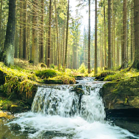 a small waterfall in the middle of a forest
