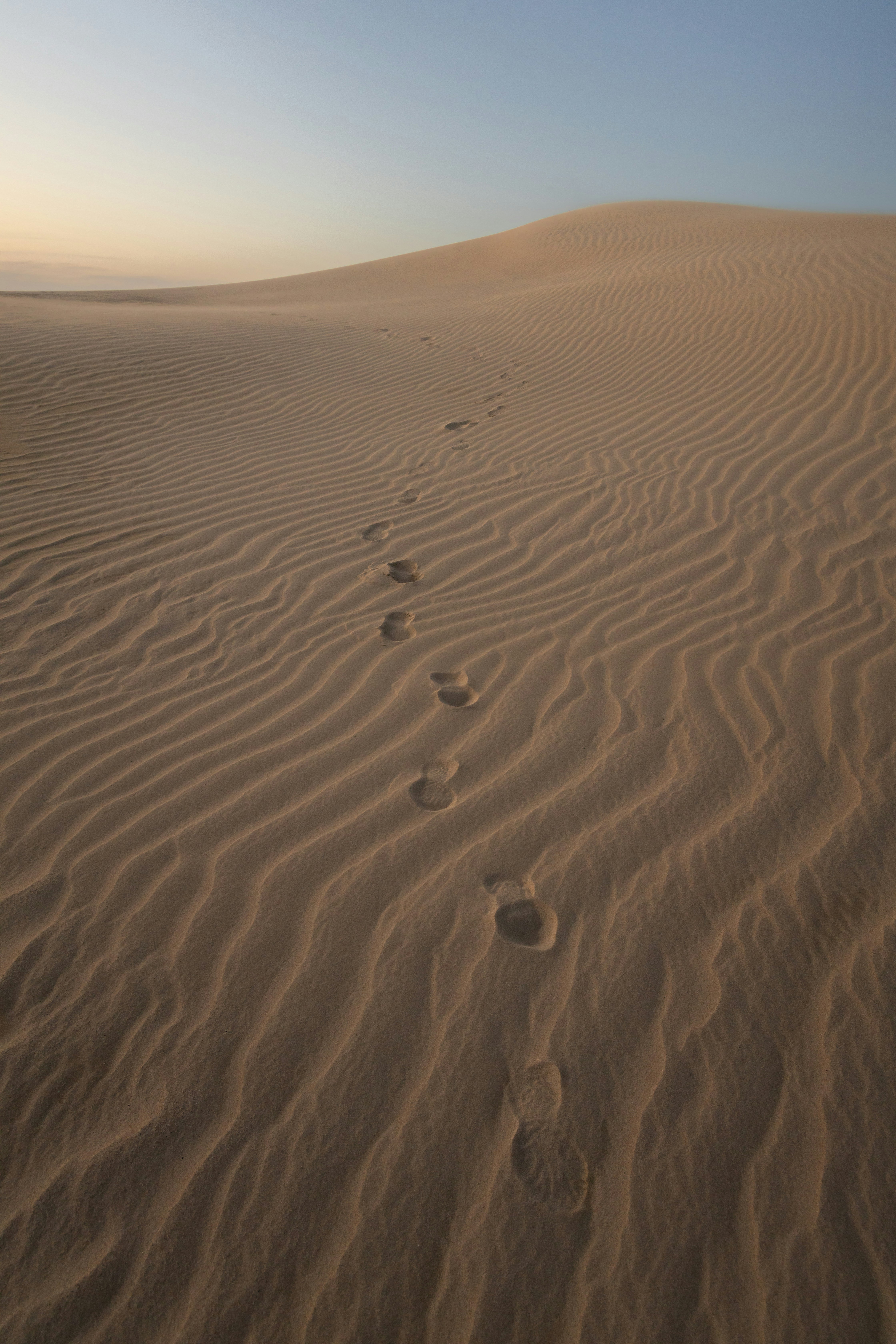 footprints in the sand of a desert at sunset