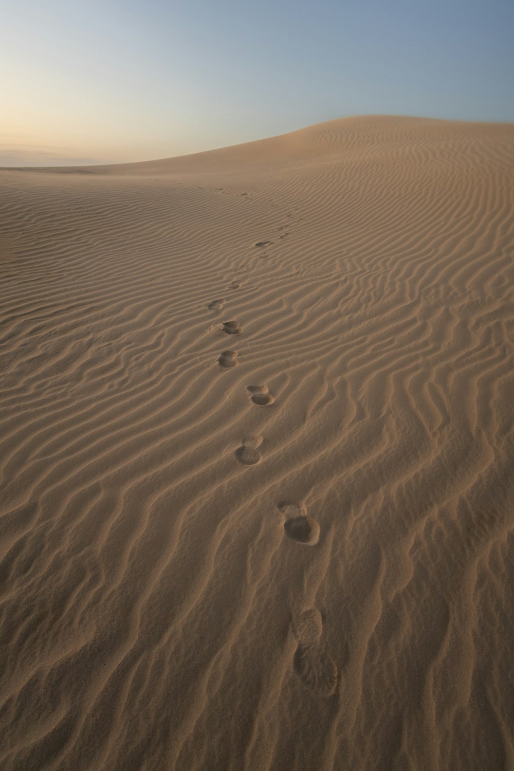 footprints in the sand of a desert at sunset