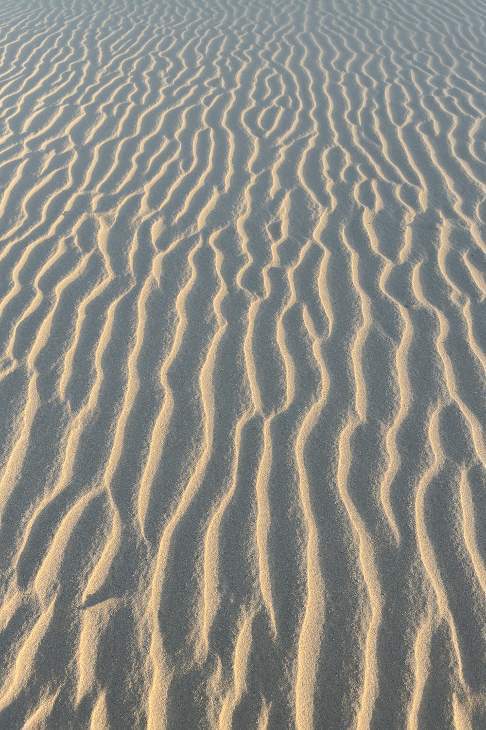 a sandy beach covered in lots of sand